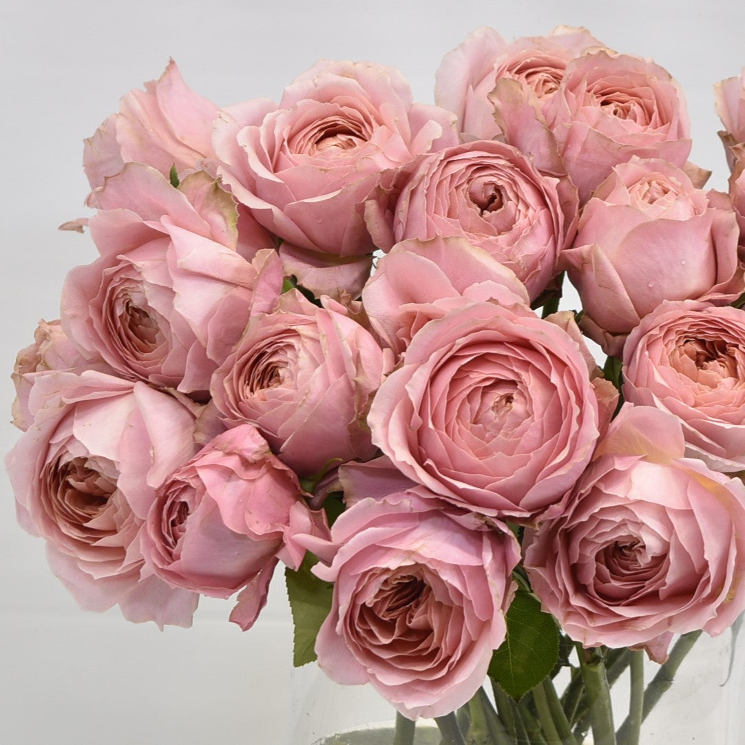 Rose Spray Romantic Antike Freelander 