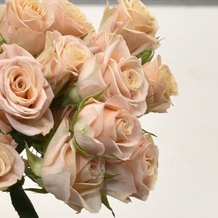 Rose Spray Apricot Jewel 