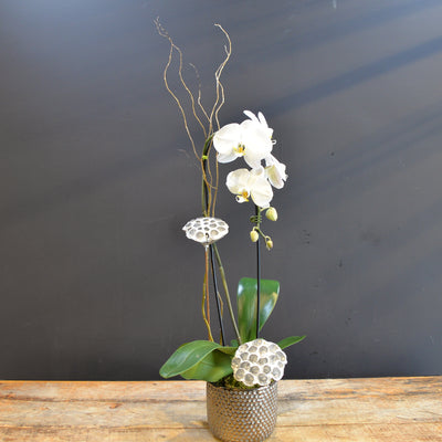 Boutique Subtle Beauty 