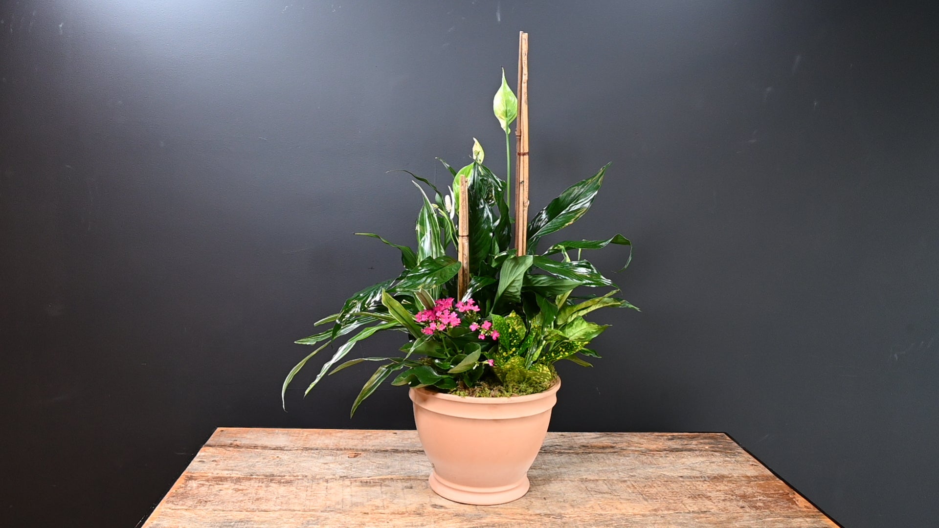 Bamboo Haven 