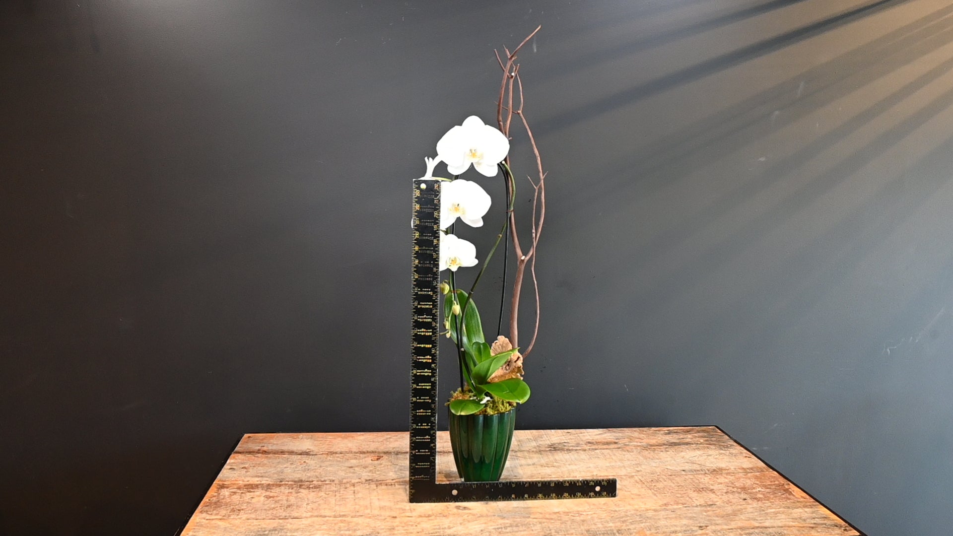 Boutique Subtle Beauty ScaledOne
