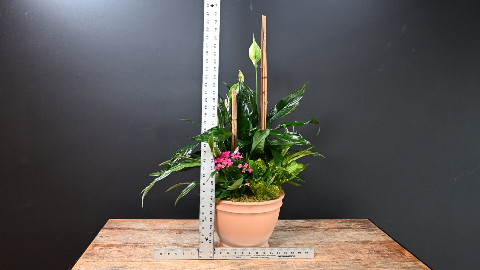 Bamboo Haven ScaledOne