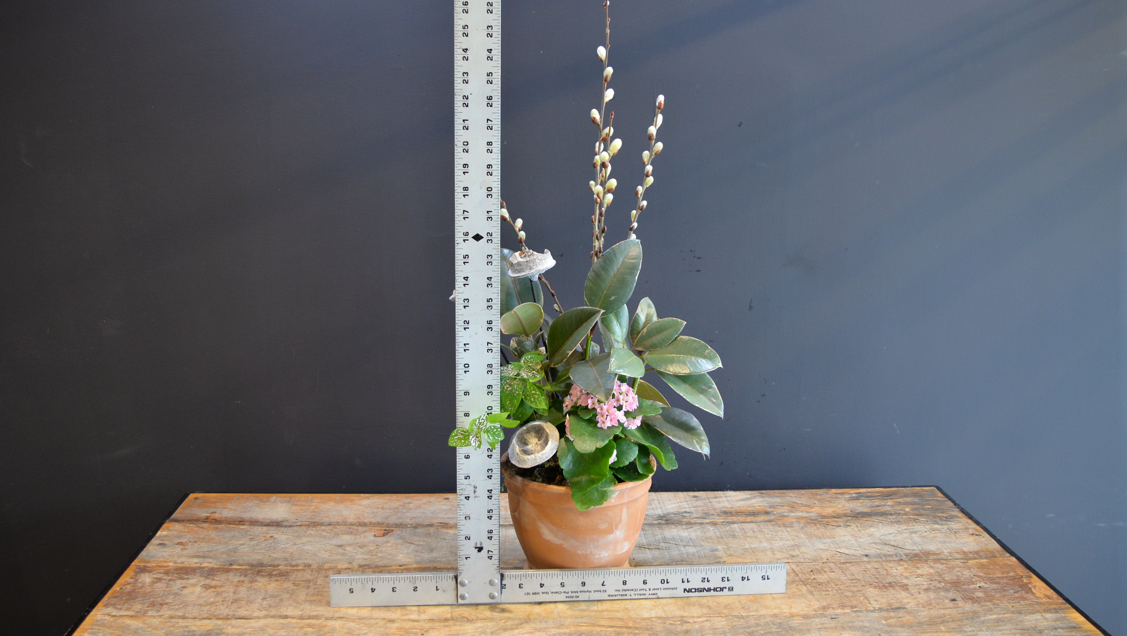 Blush of Spring ScaledOne