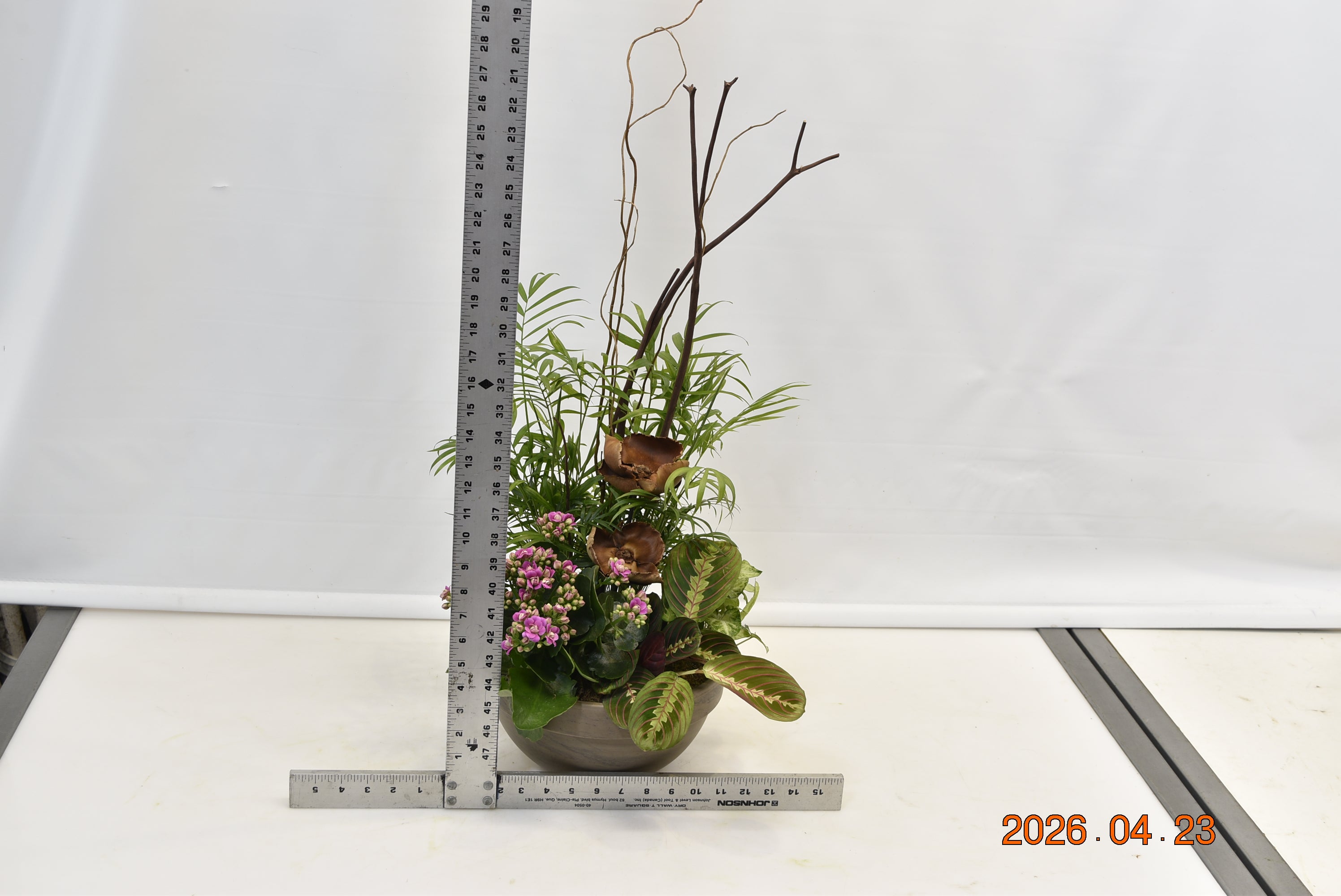 Fuchsia Forestry ScaledOne