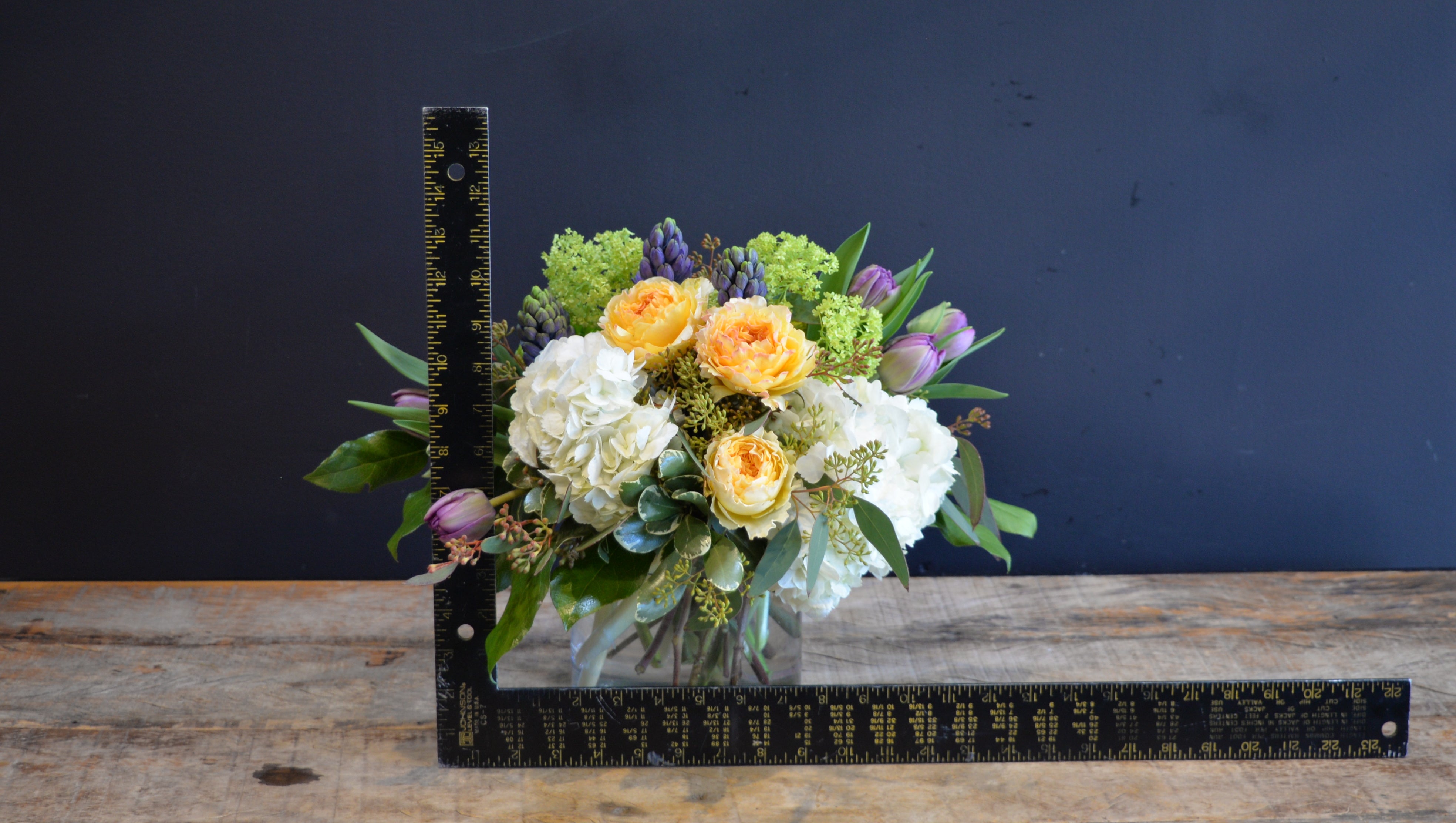 Beatrice Bellini ScaledOne