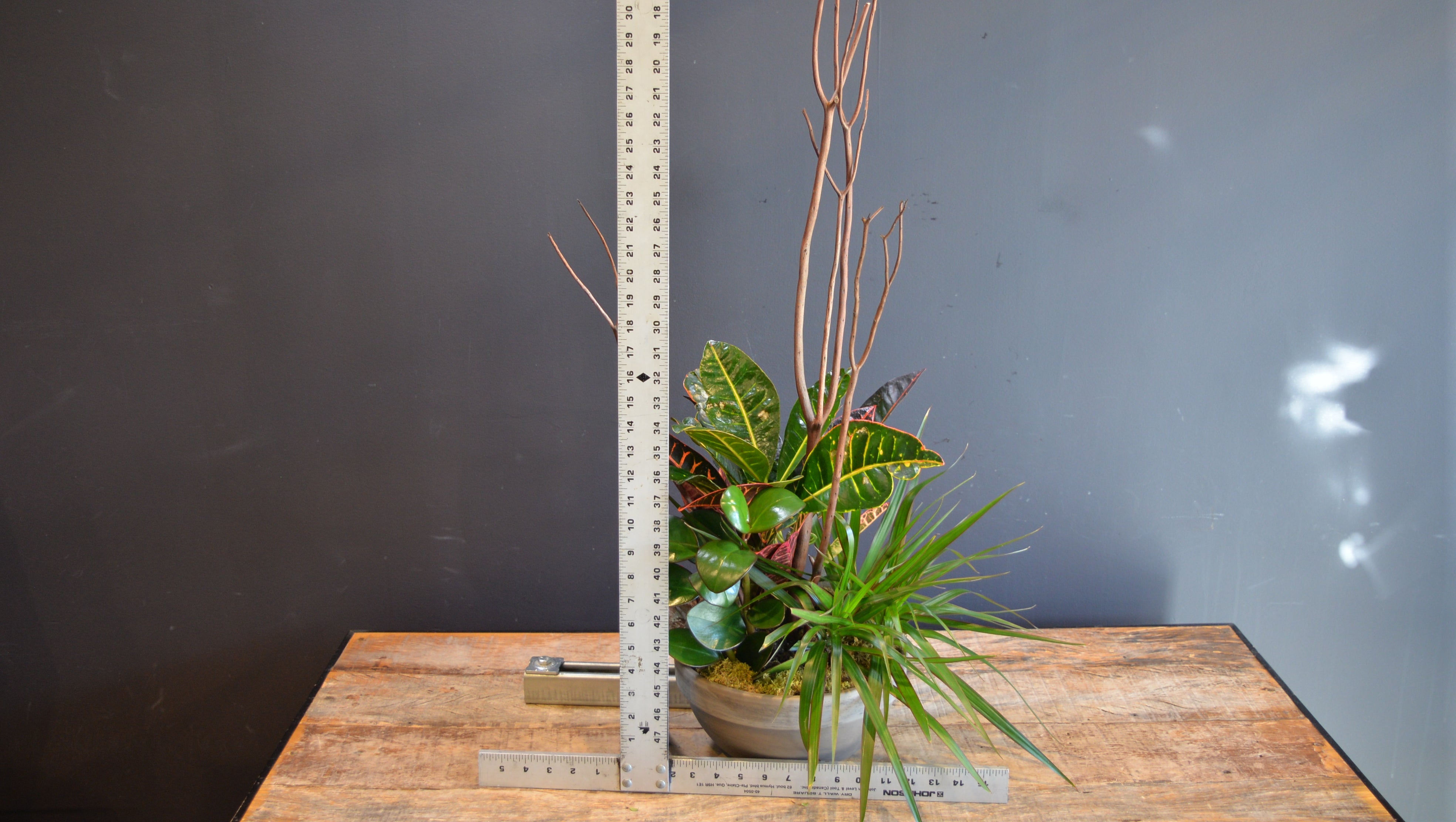 Stone Jungle Oasis ScaledOne