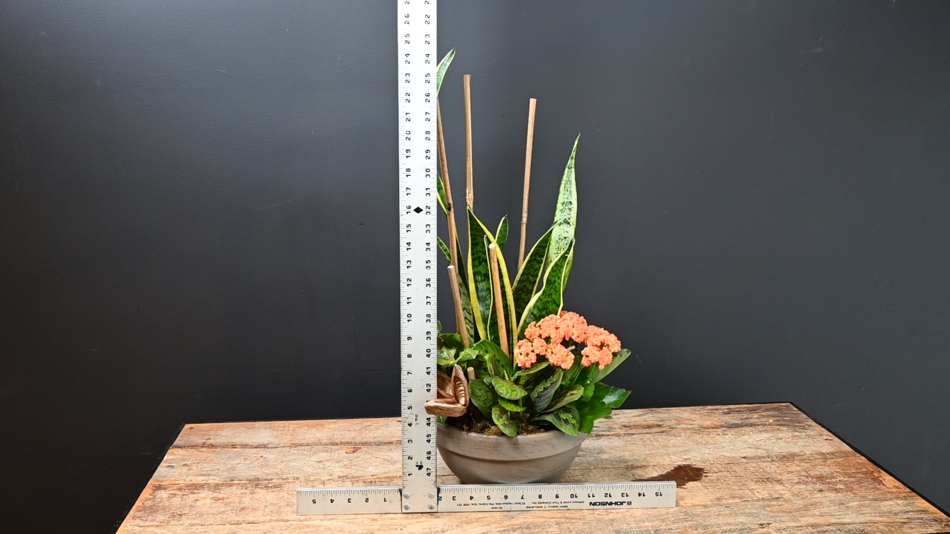Tropical Paradise Planter ScaledOne