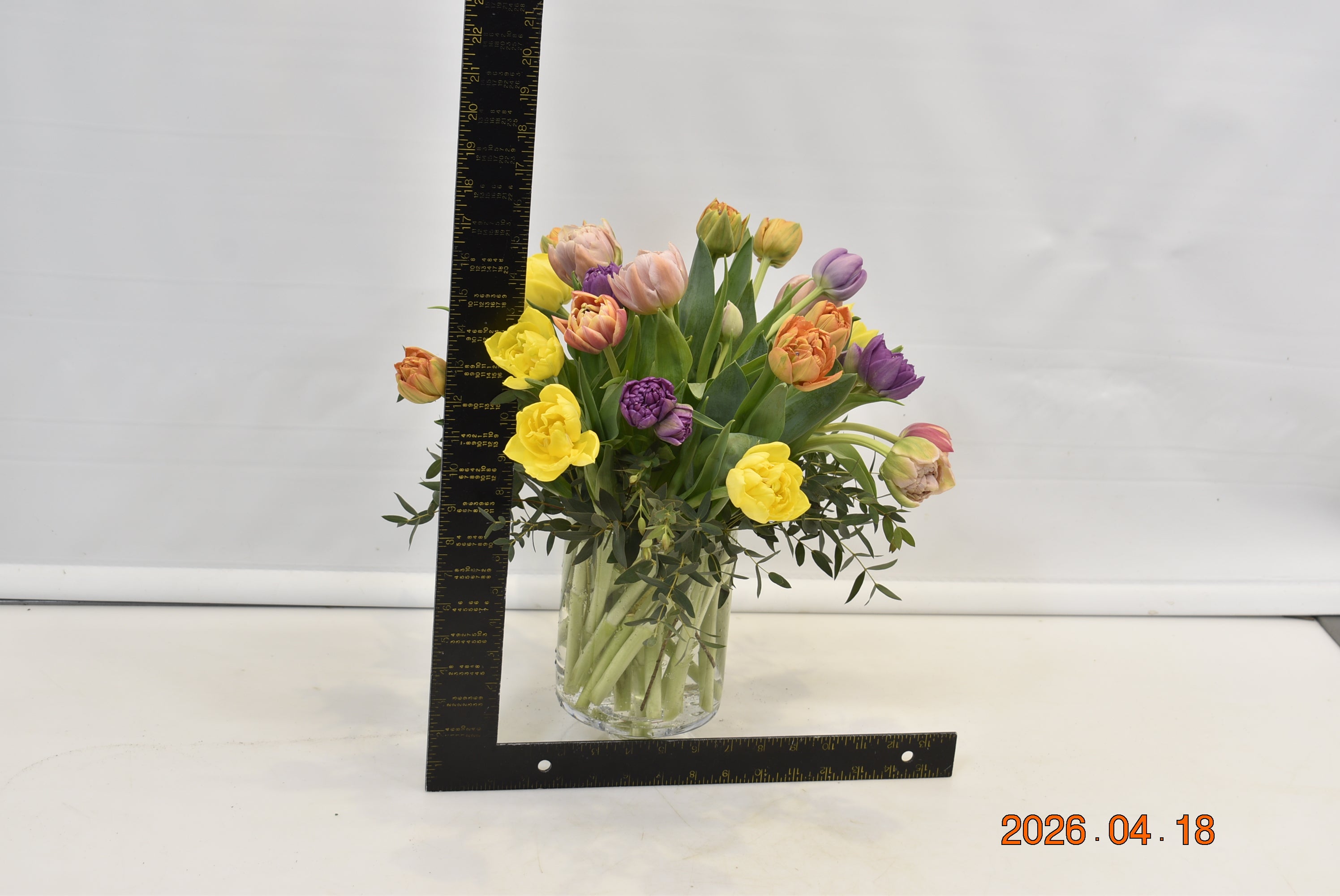 Tulip Rainbow Medley ScaledOne