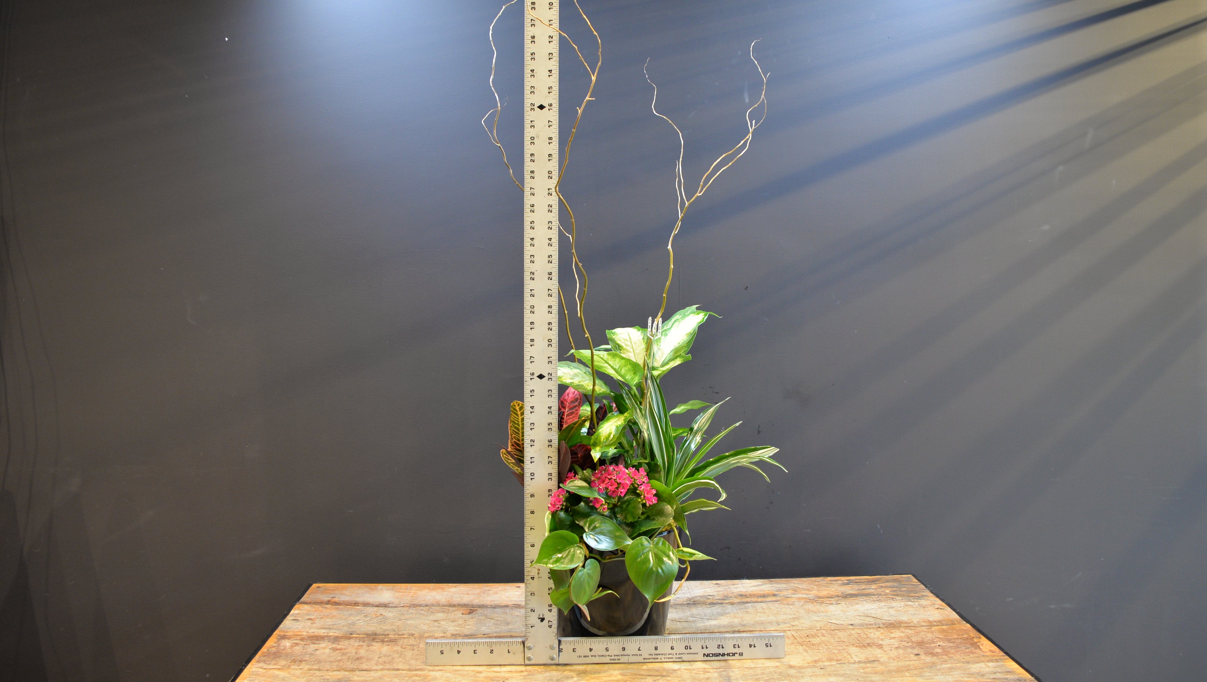 Black Tie Botanicals ScaledOne