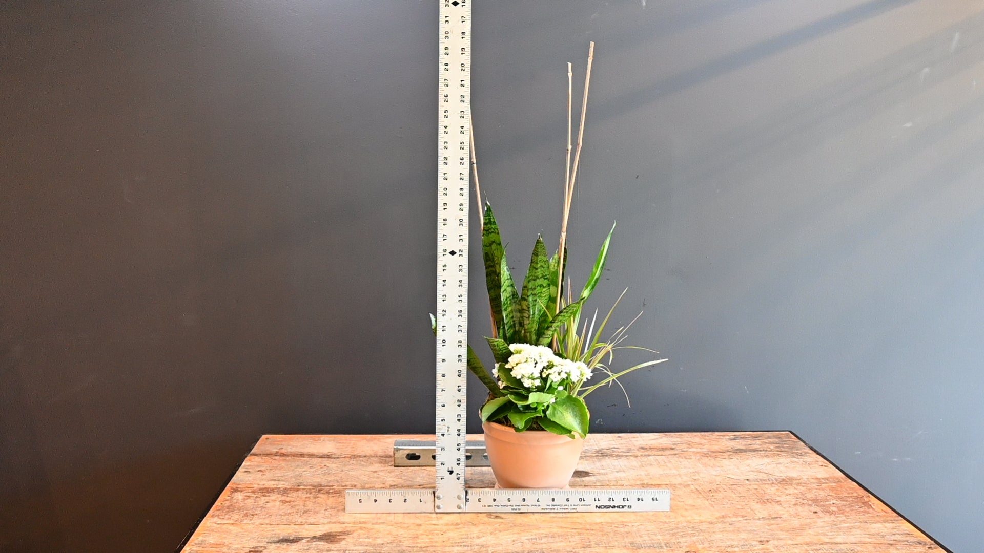 Terra Tropics ScaledOne