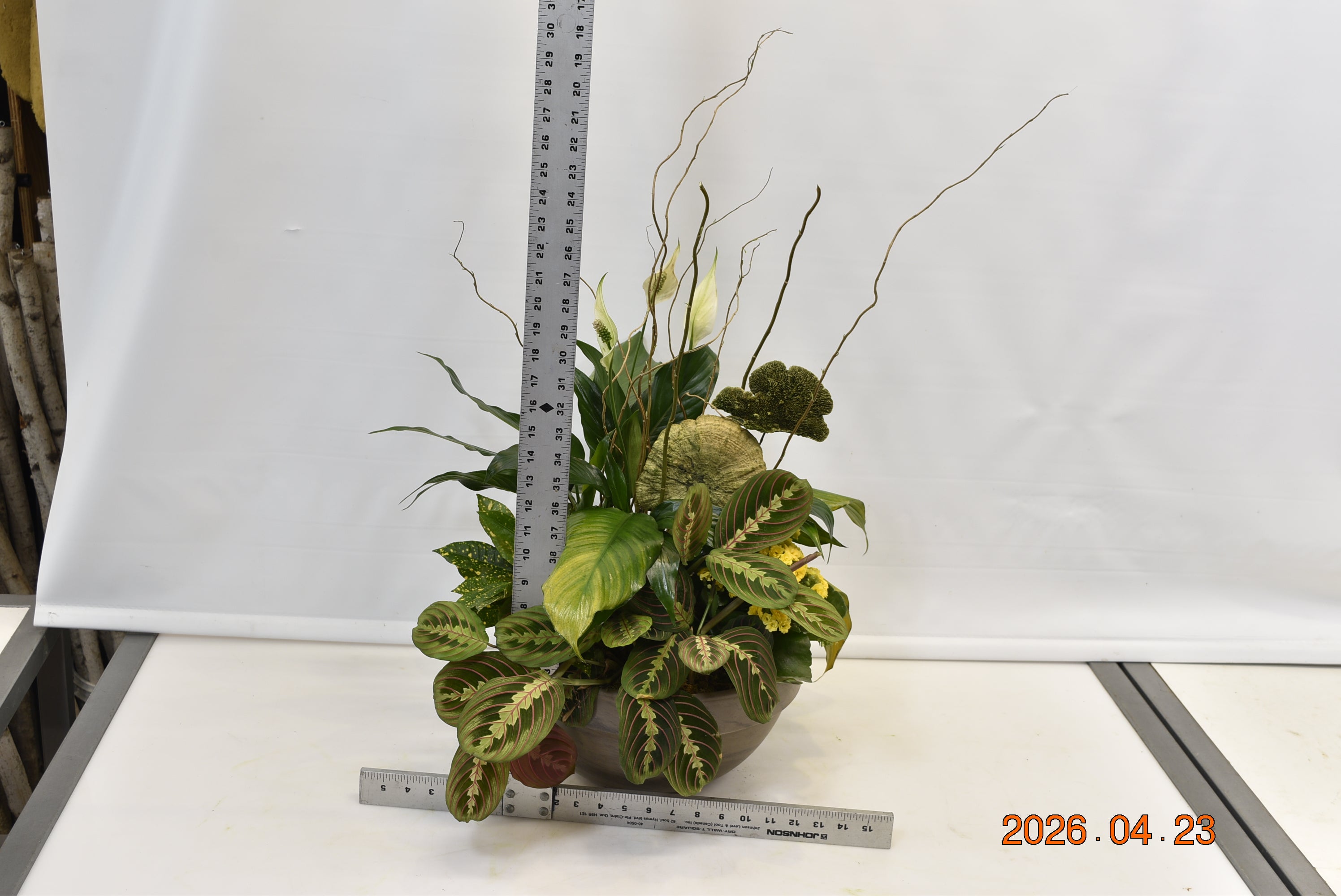 Turtle PowerTropics ScaledOne