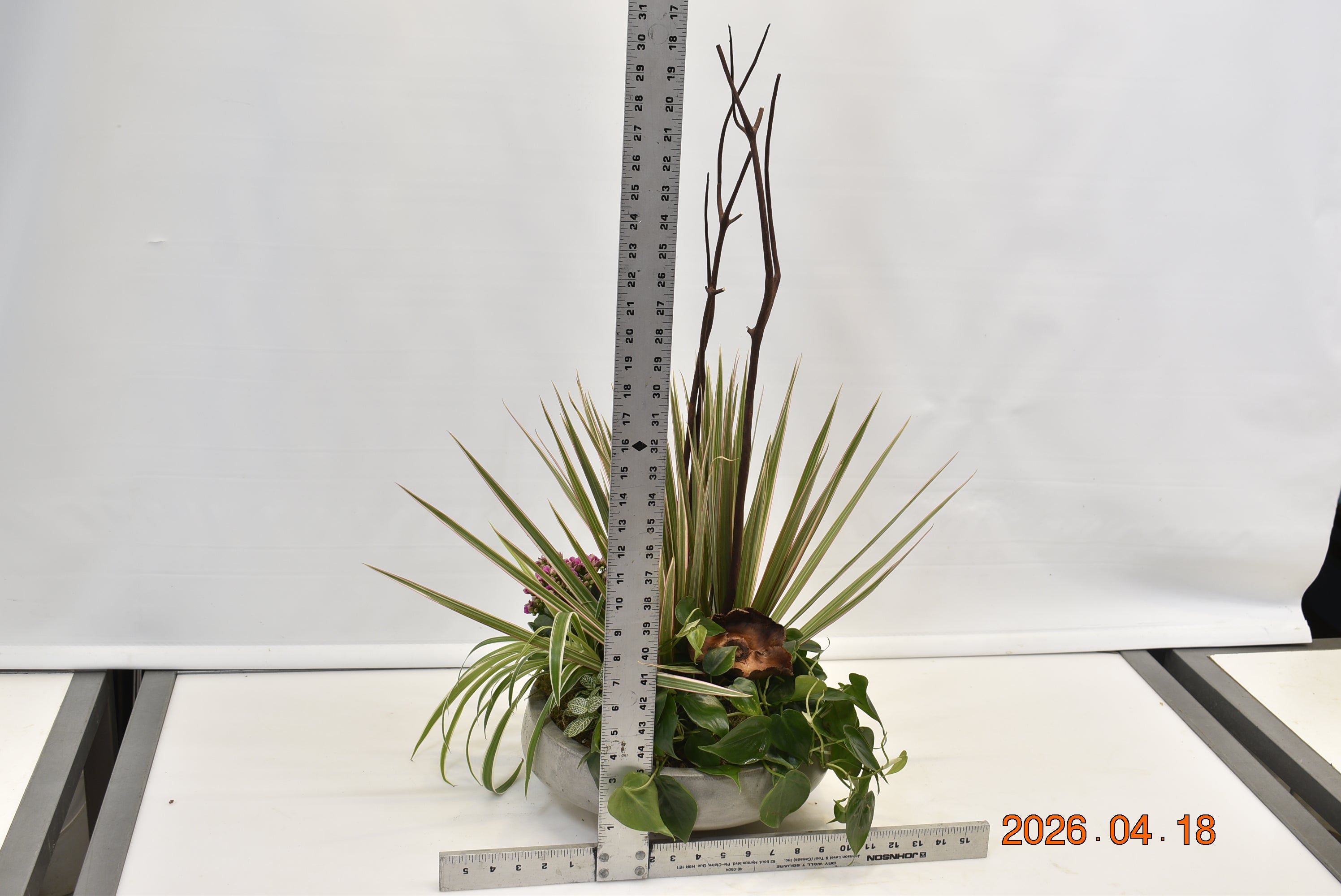 Metropolitan Rainforest ScaledOne