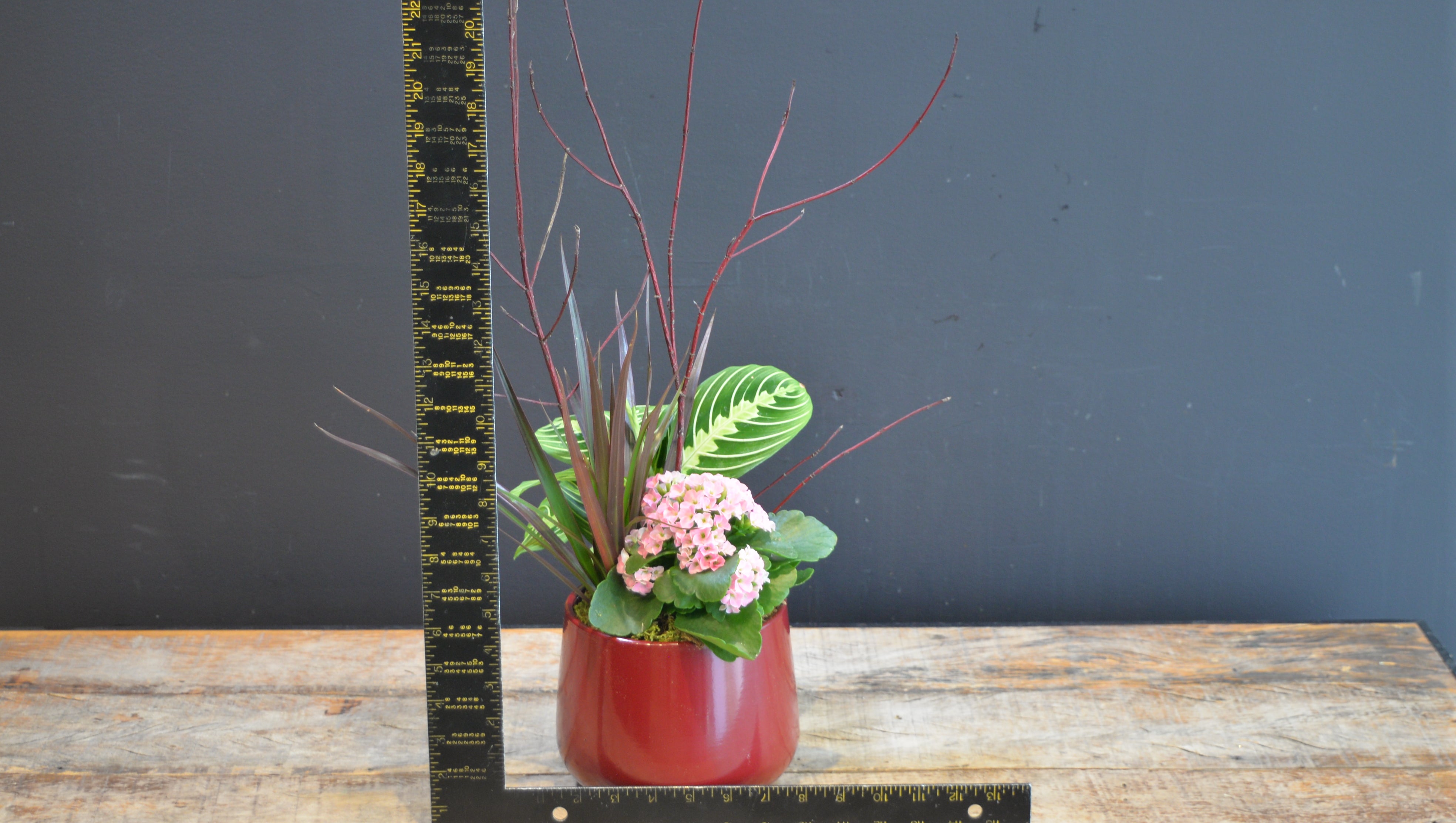 Be Mine Bloom Bowl ScaledOne