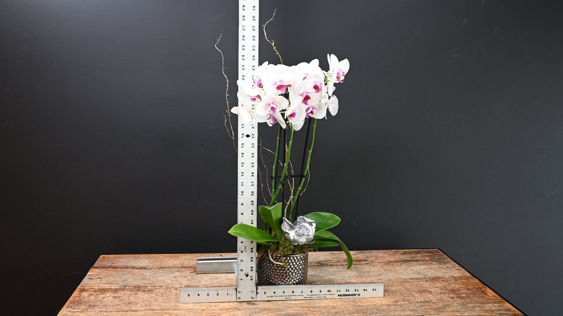 Beauty And Grace Fuchsia ScaledOne
