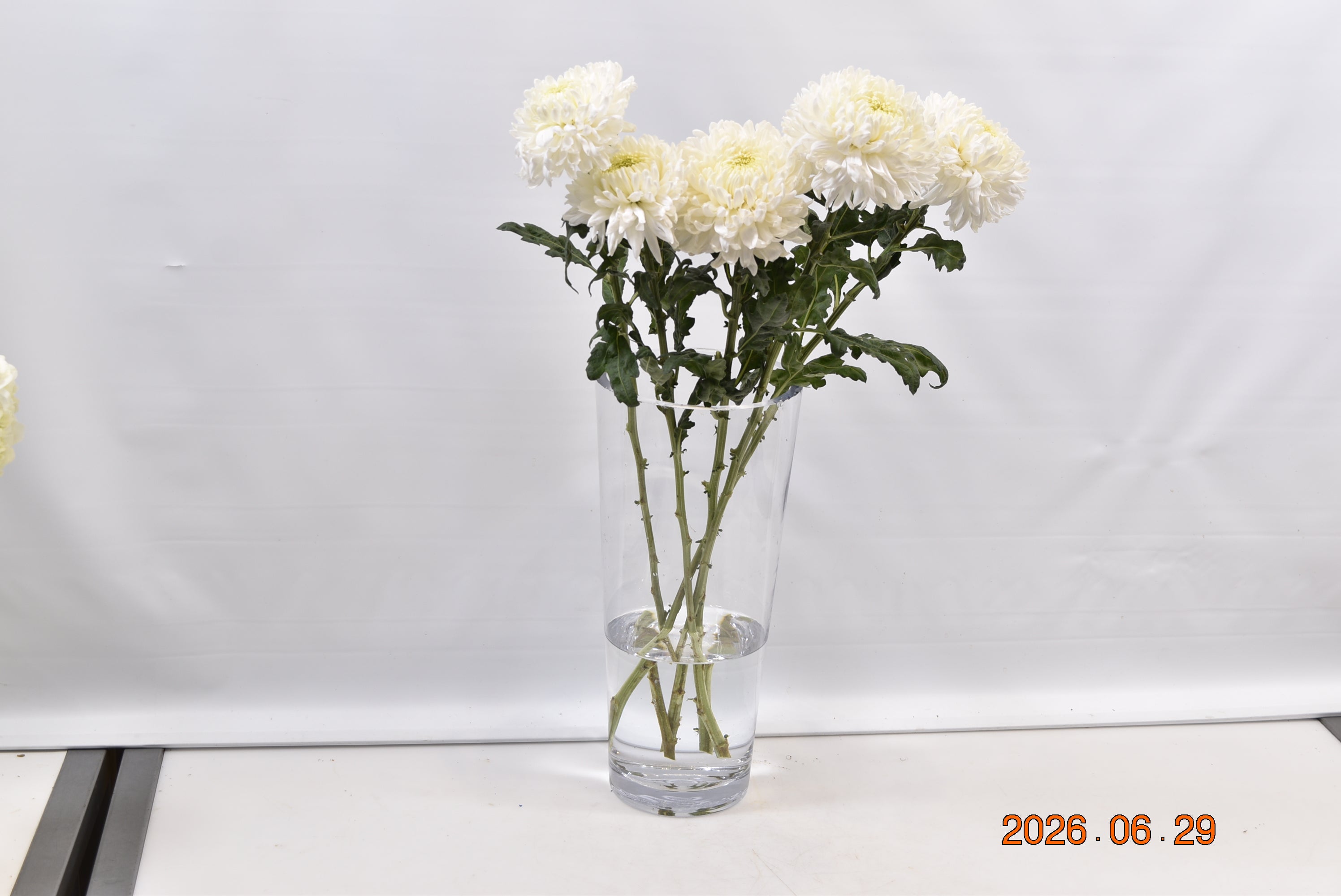 CREMONE MAGNUM Small