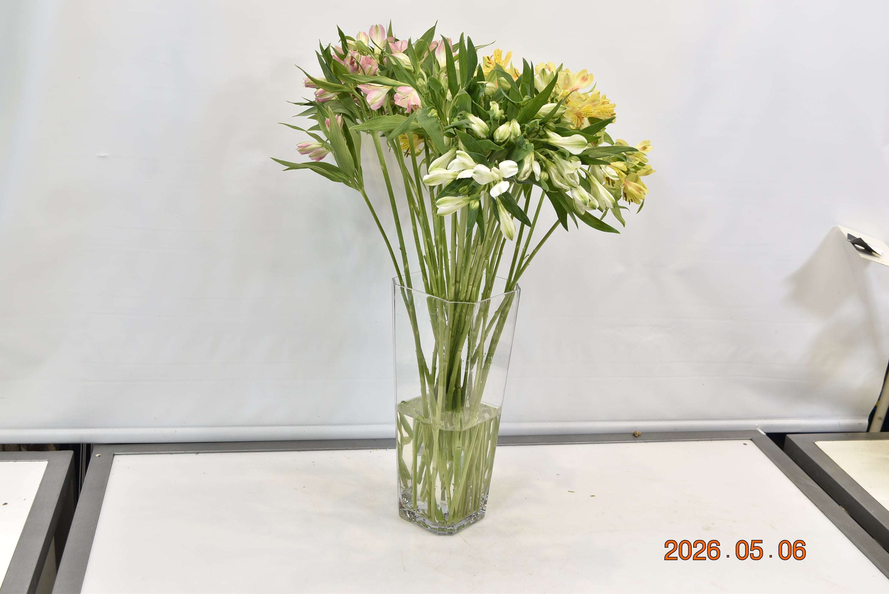 ALSTROEMERIA ASSORTED Small