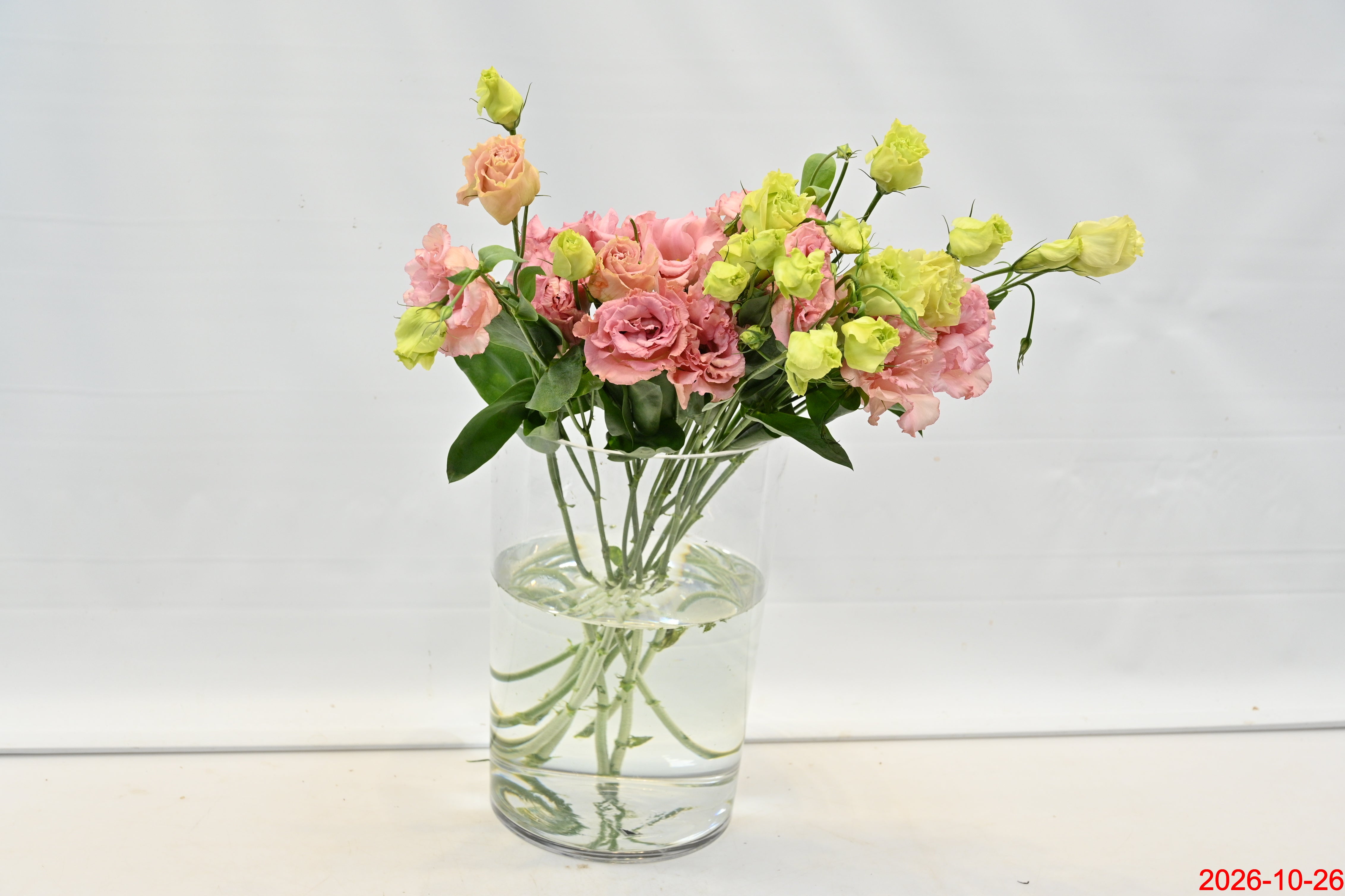LISIANTHUS DBL CORELLI Small