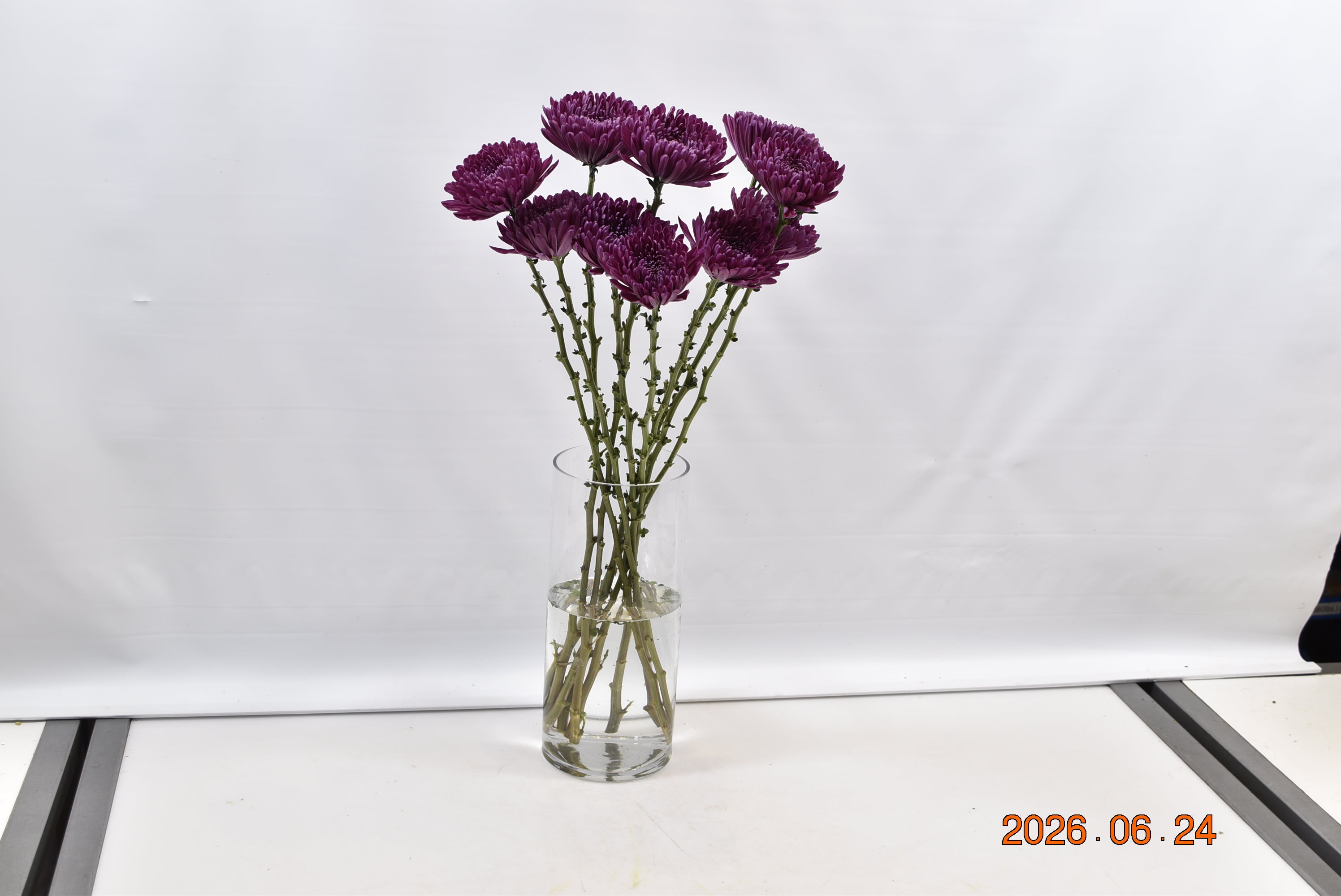 CREMONE PURPLE ANDREA Small