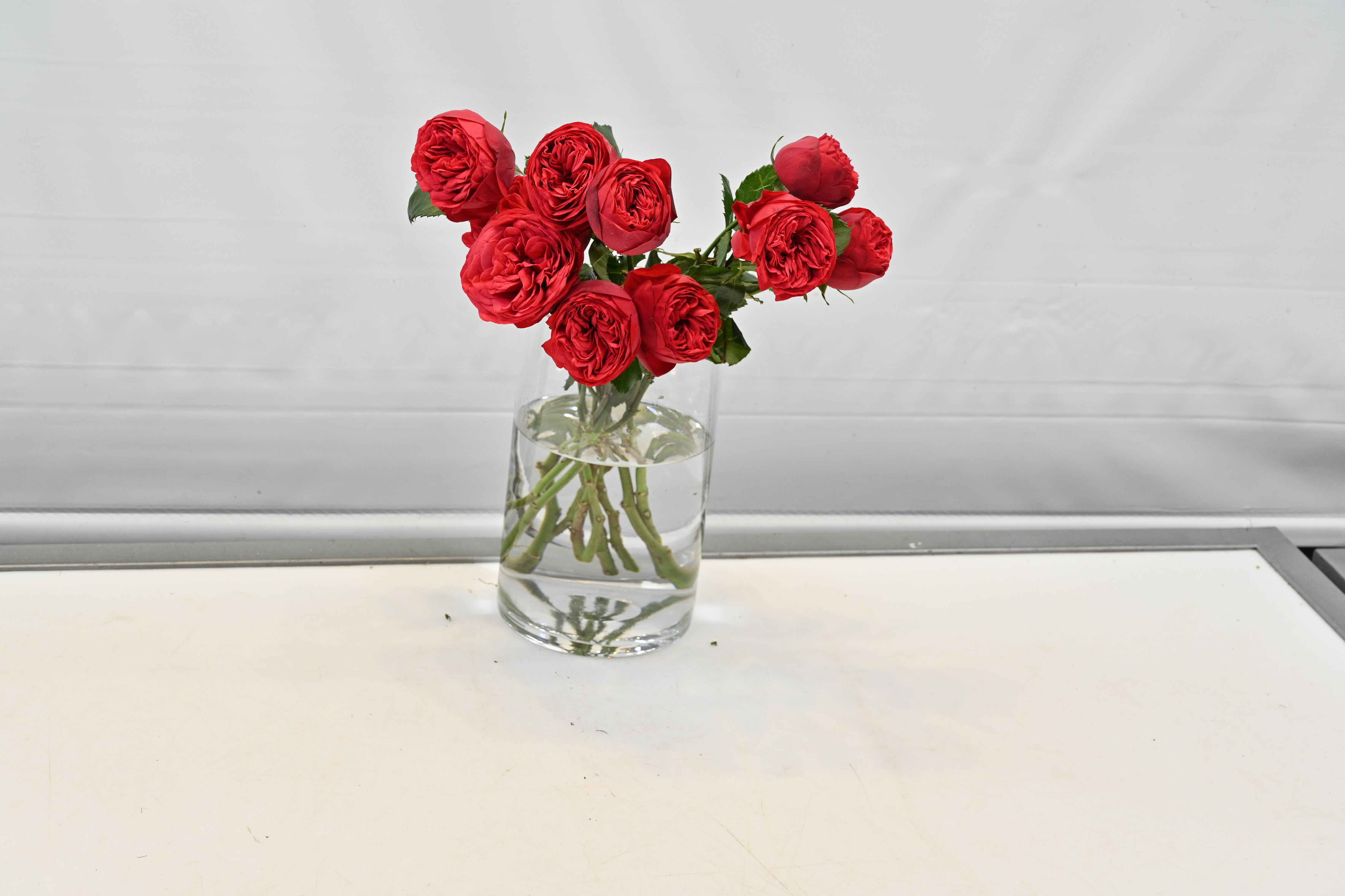 ROSE SPRAY RED PIANO Small