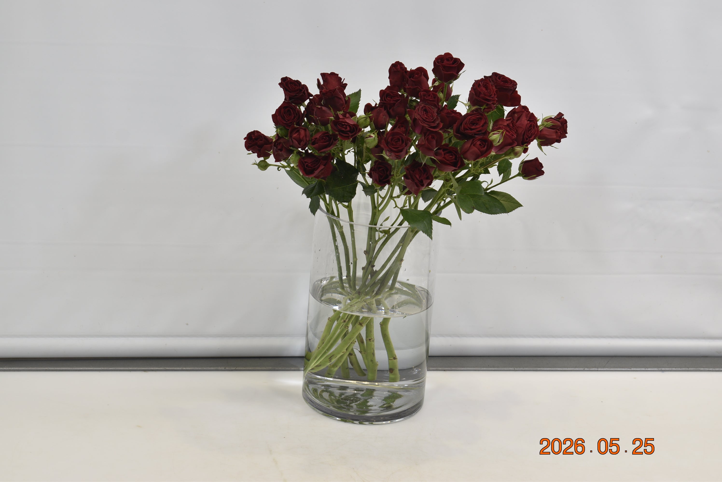 ROSE SPRAY RED MIKADO Small
