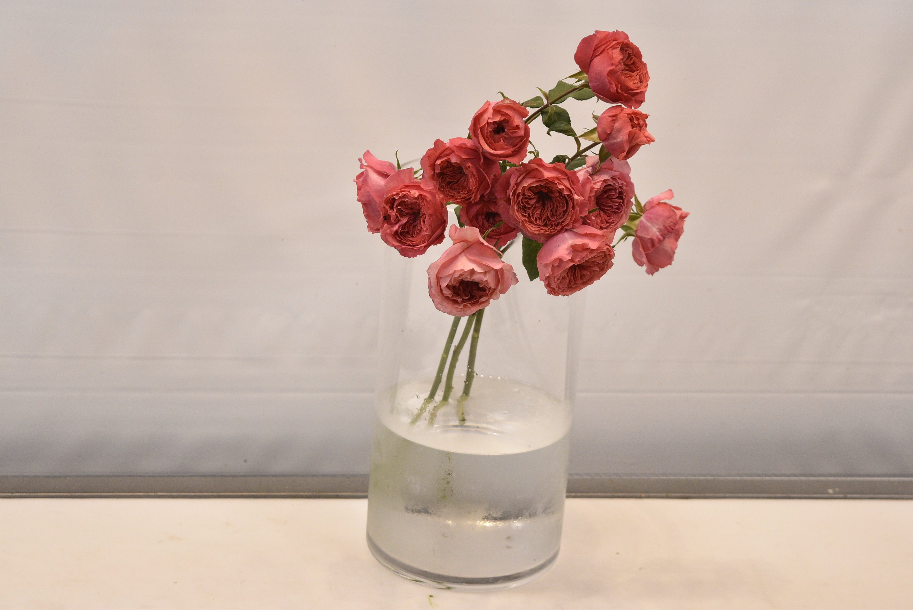 Rose Spray Boomerang Small
