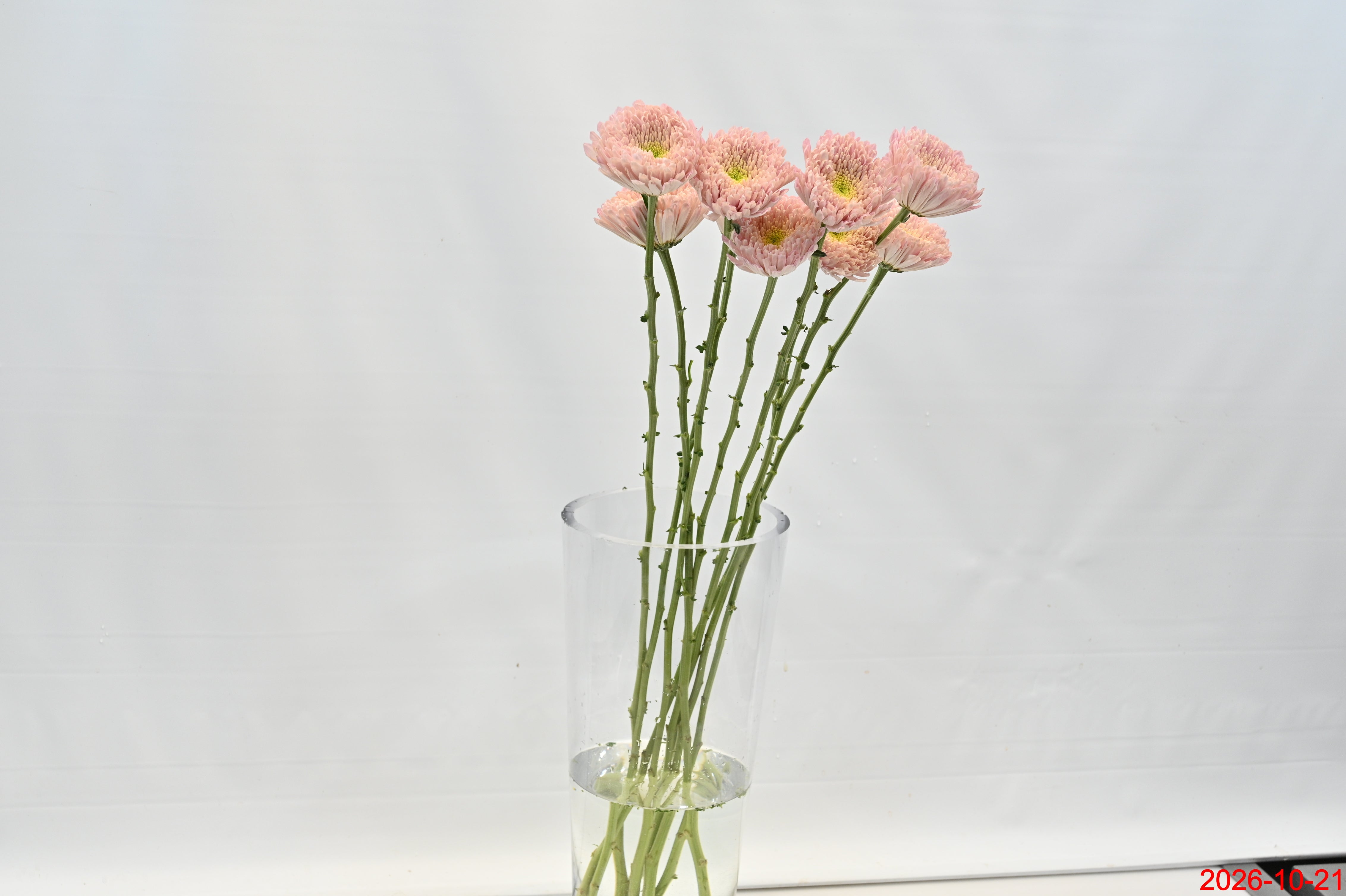 CREMONE EMPRESS PINK Small