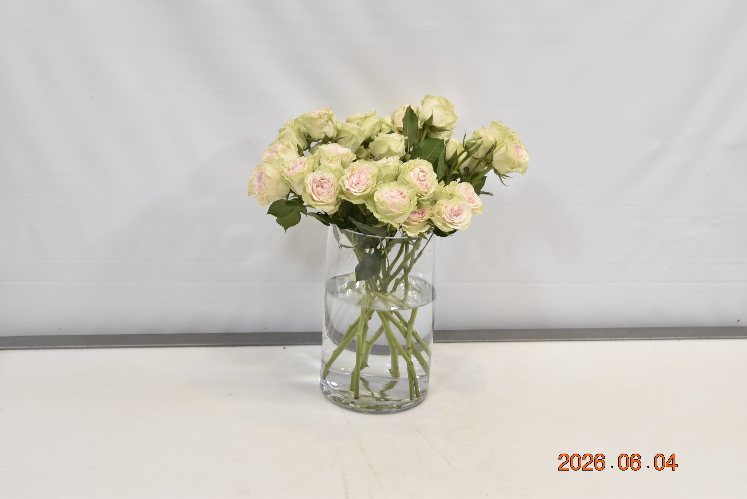 Rose Spray Fibonacci Yantra Small