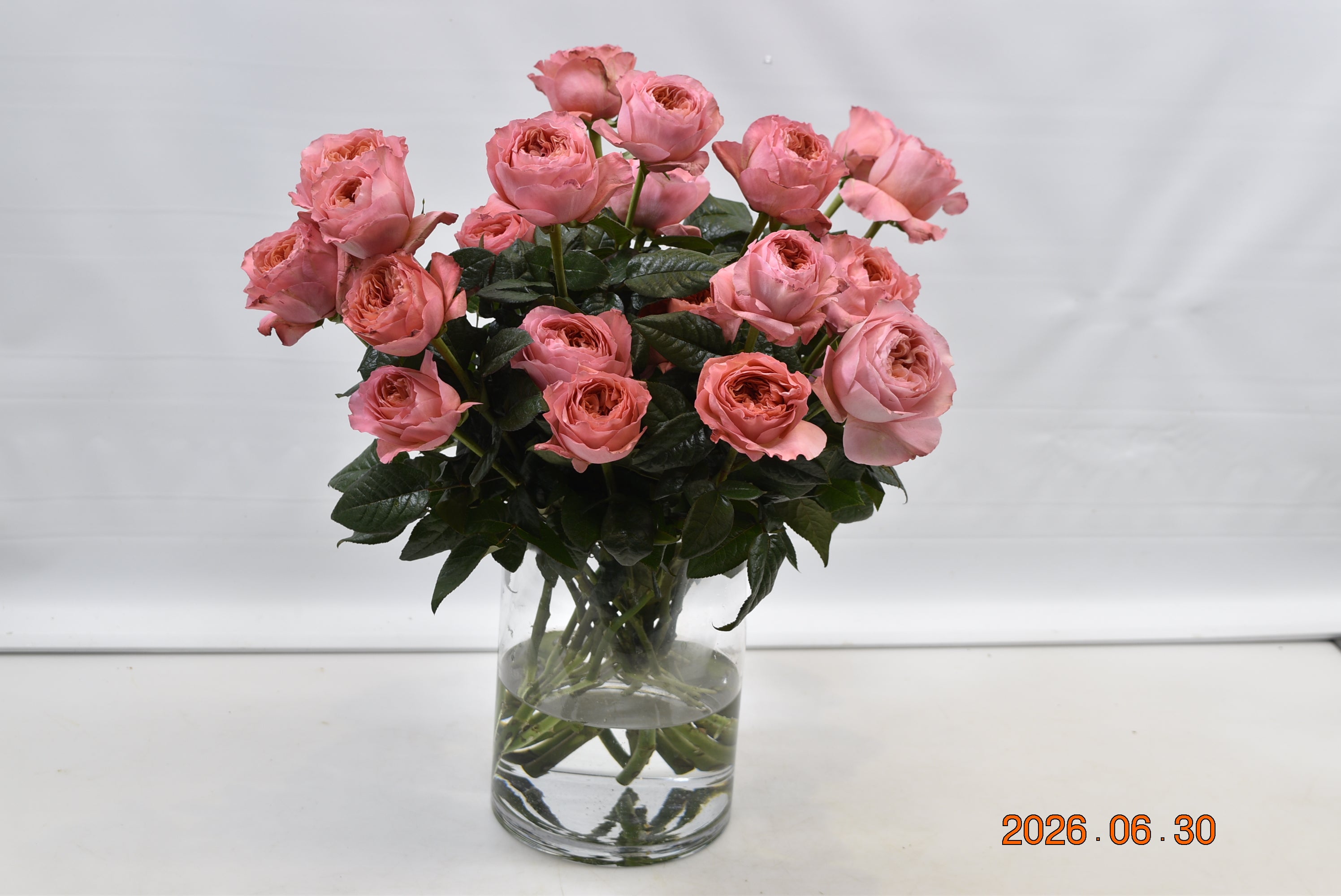 Rose Candy Xpression Small