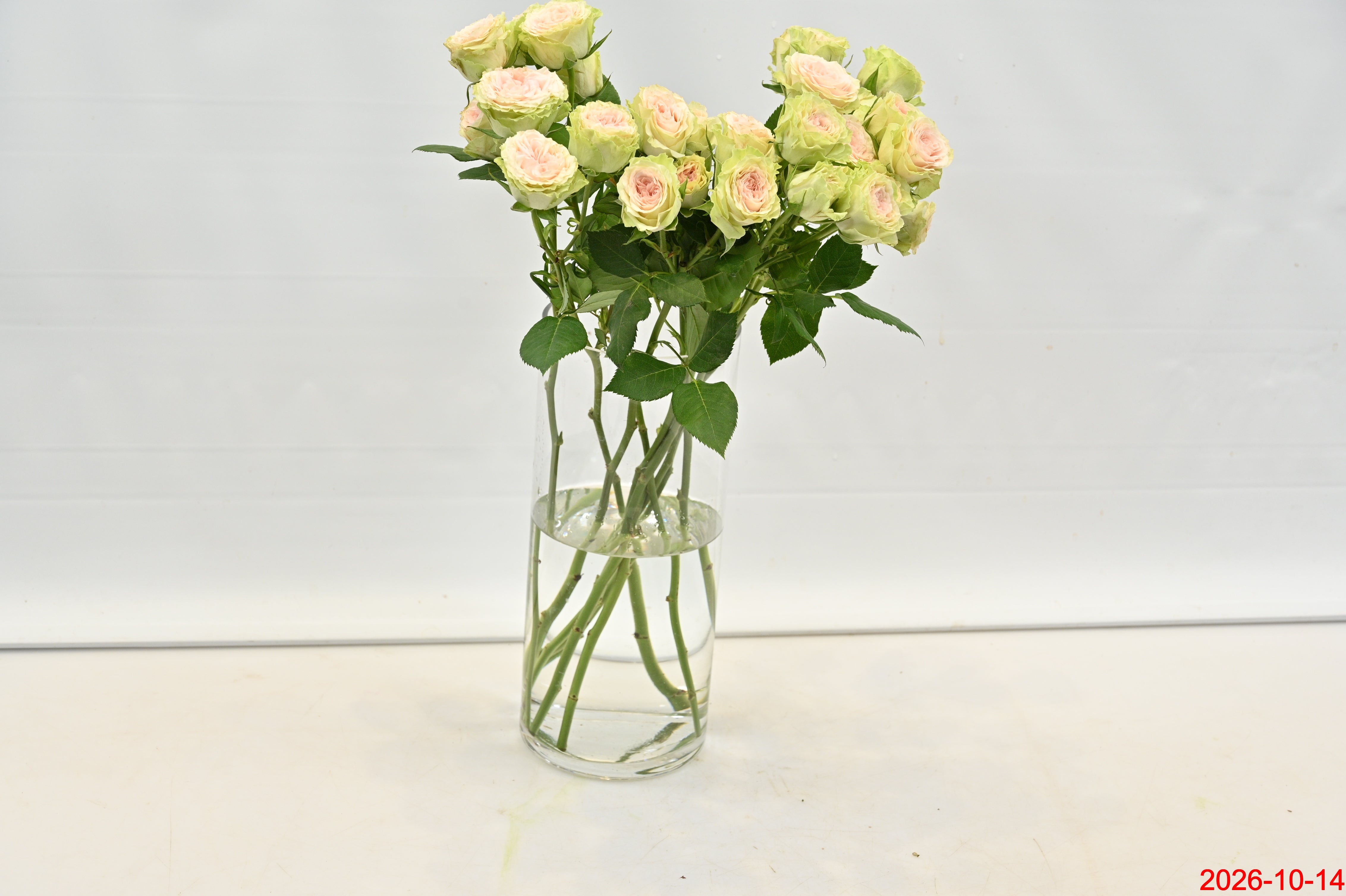 Rose Spray Fibonacci Yantra Small