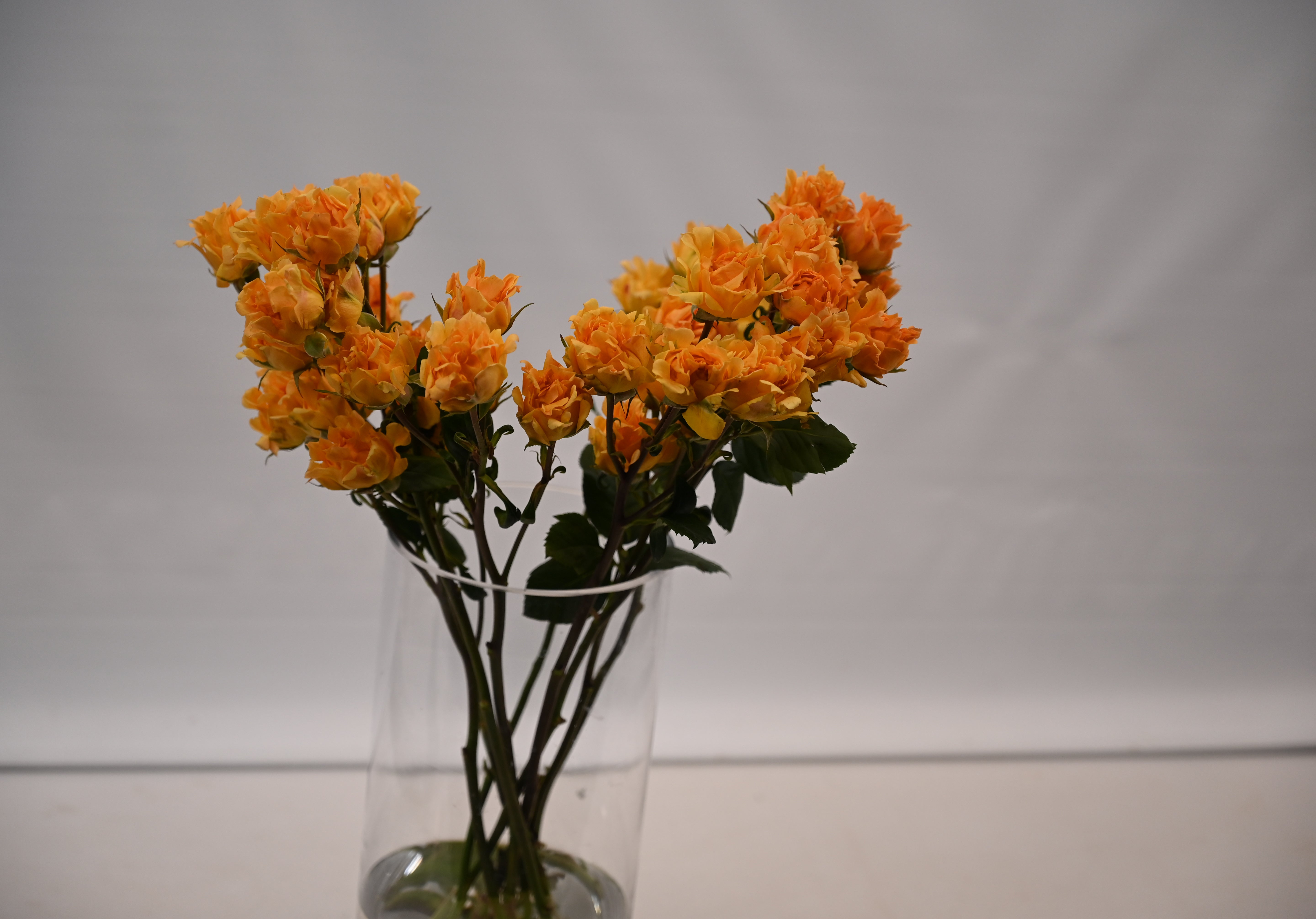 ROSE SPRAY ASSORTED Small