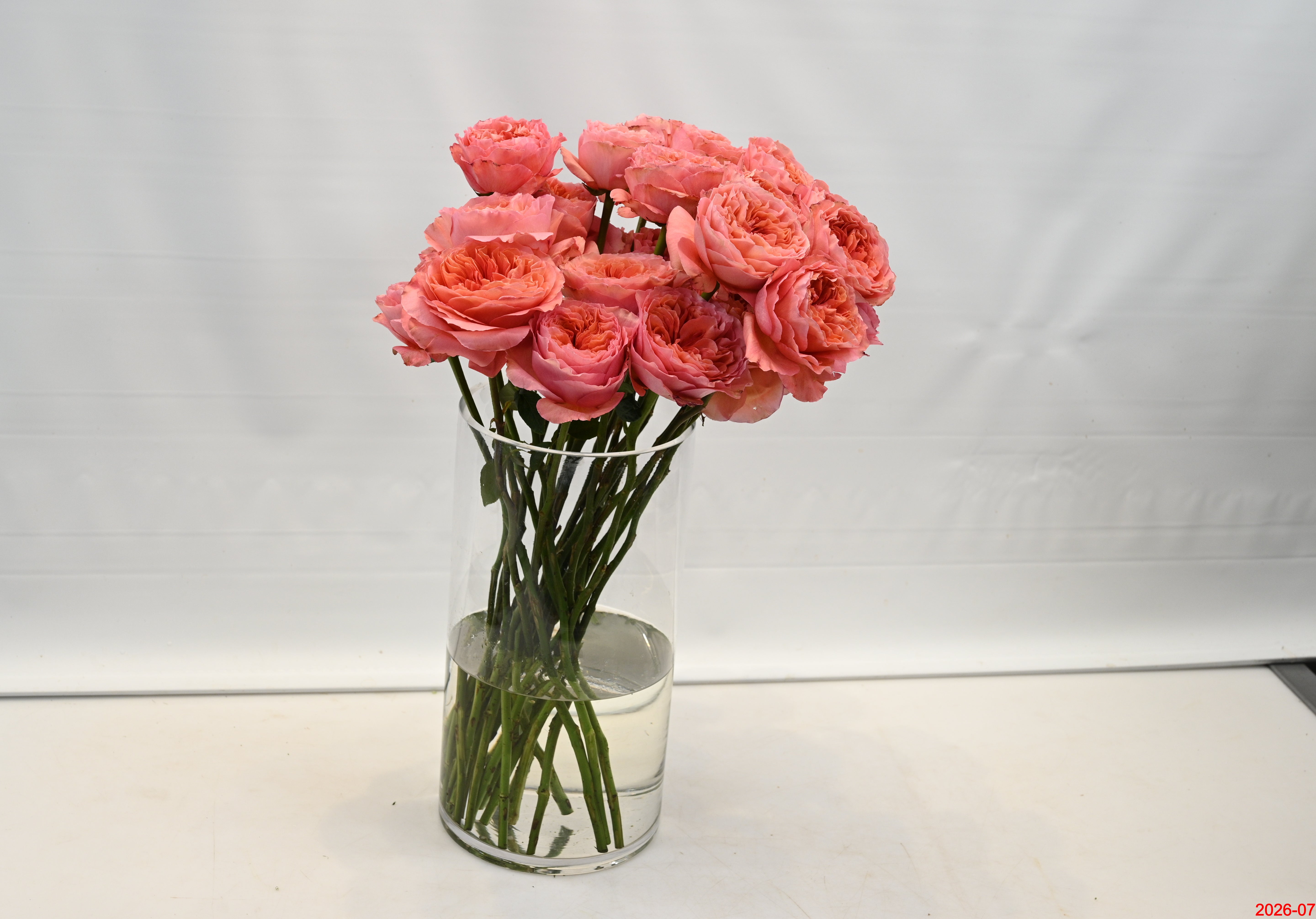 Rose Candy Xpression Small