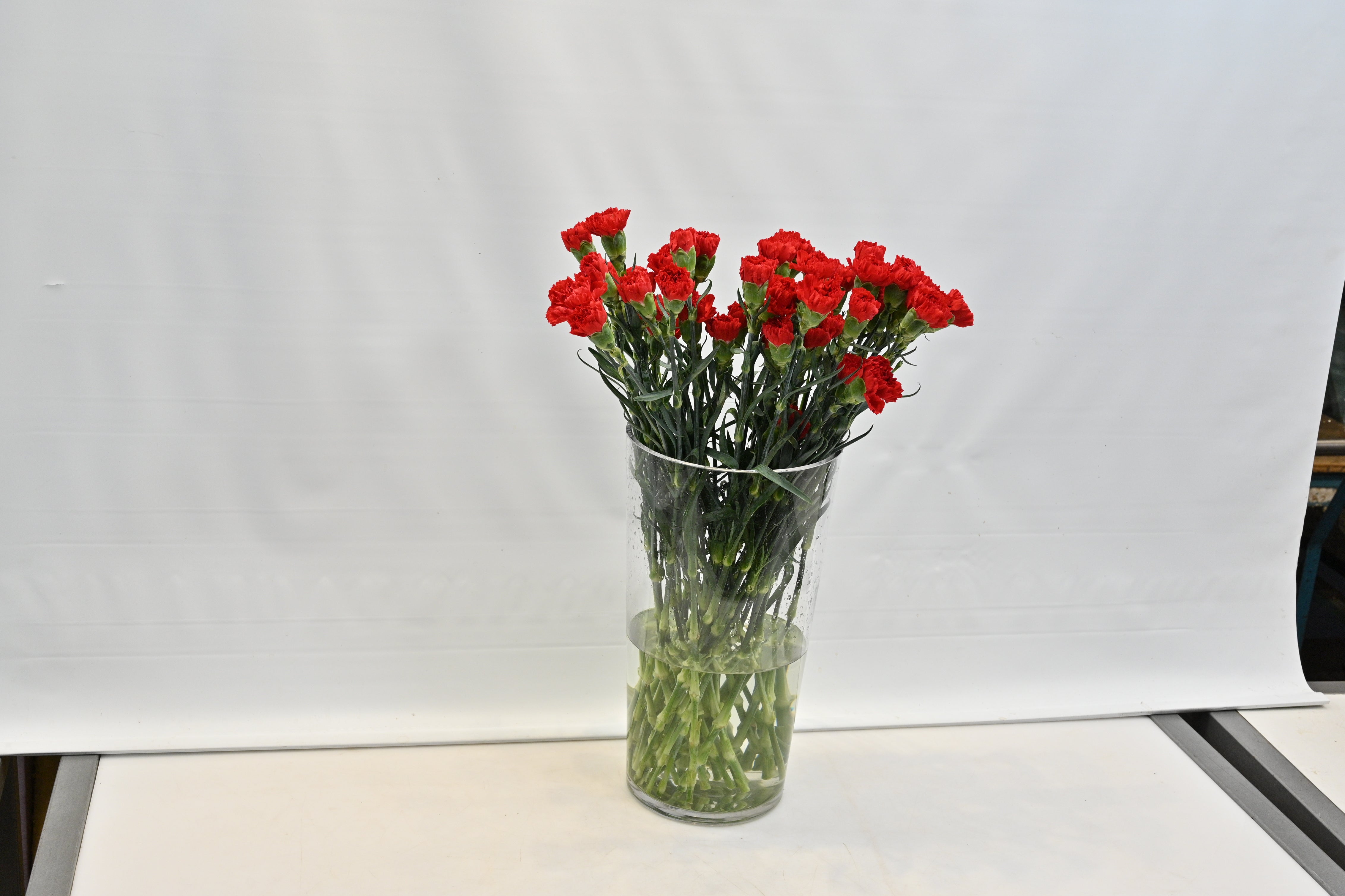 CARNATION RED Small