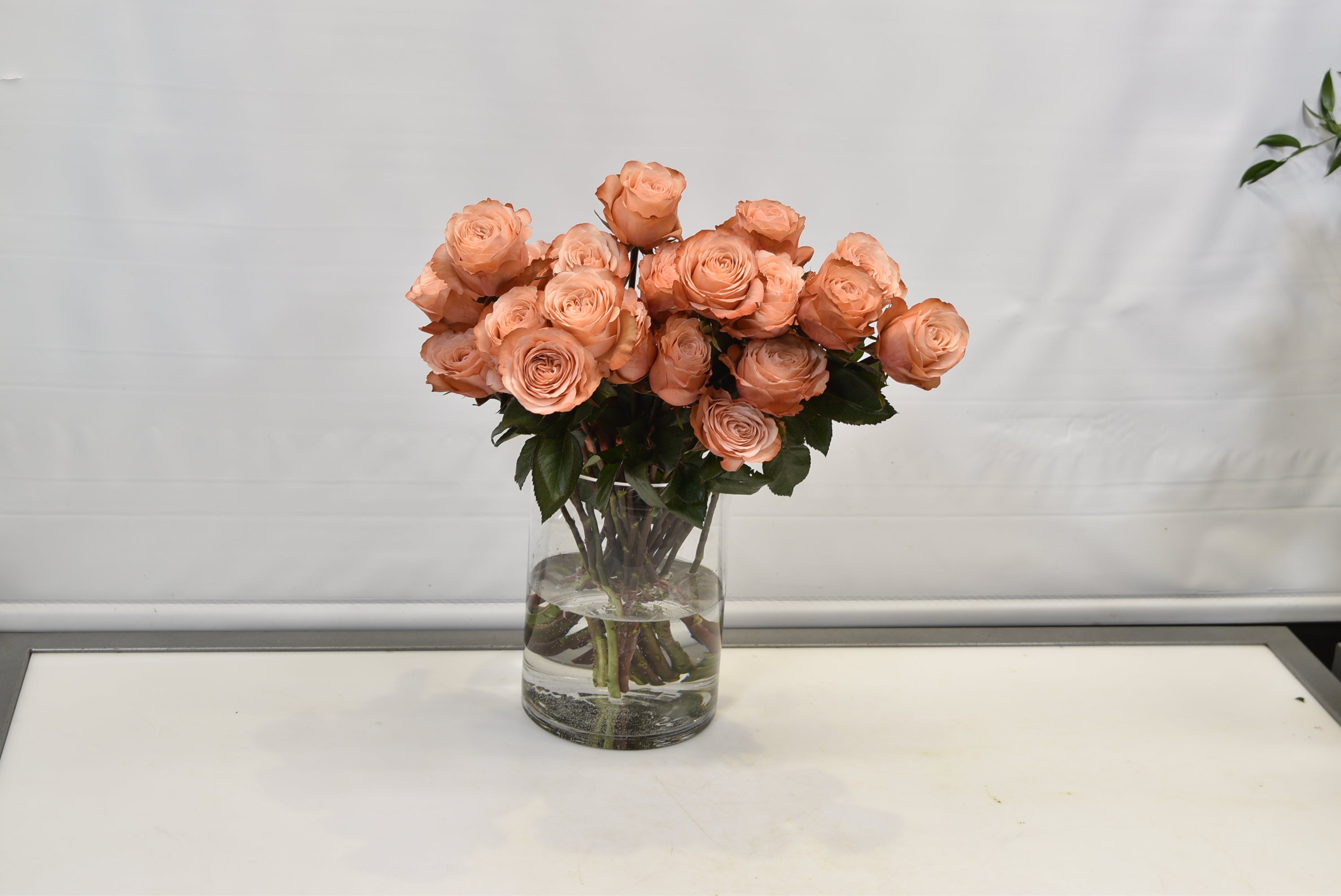 ROSE KAHALA Small