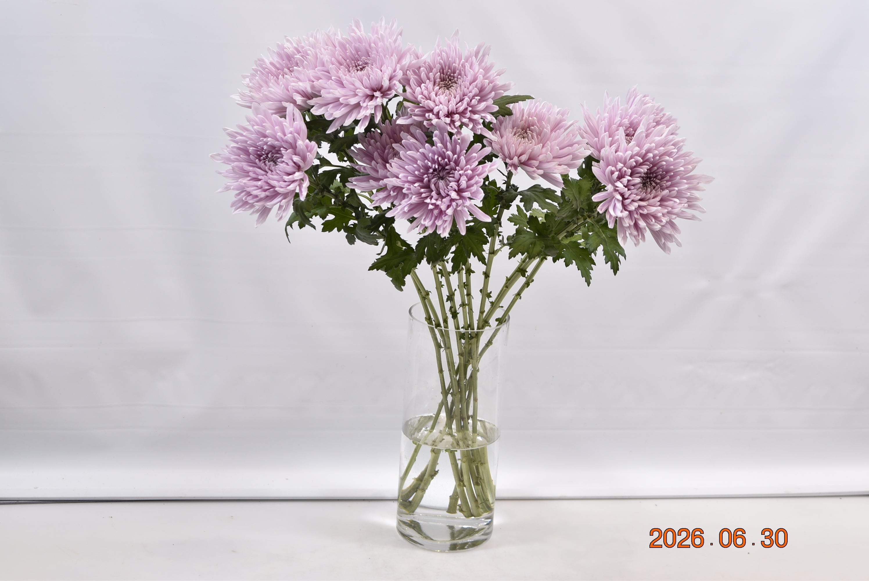 Cremone Honeymoon Pink Small