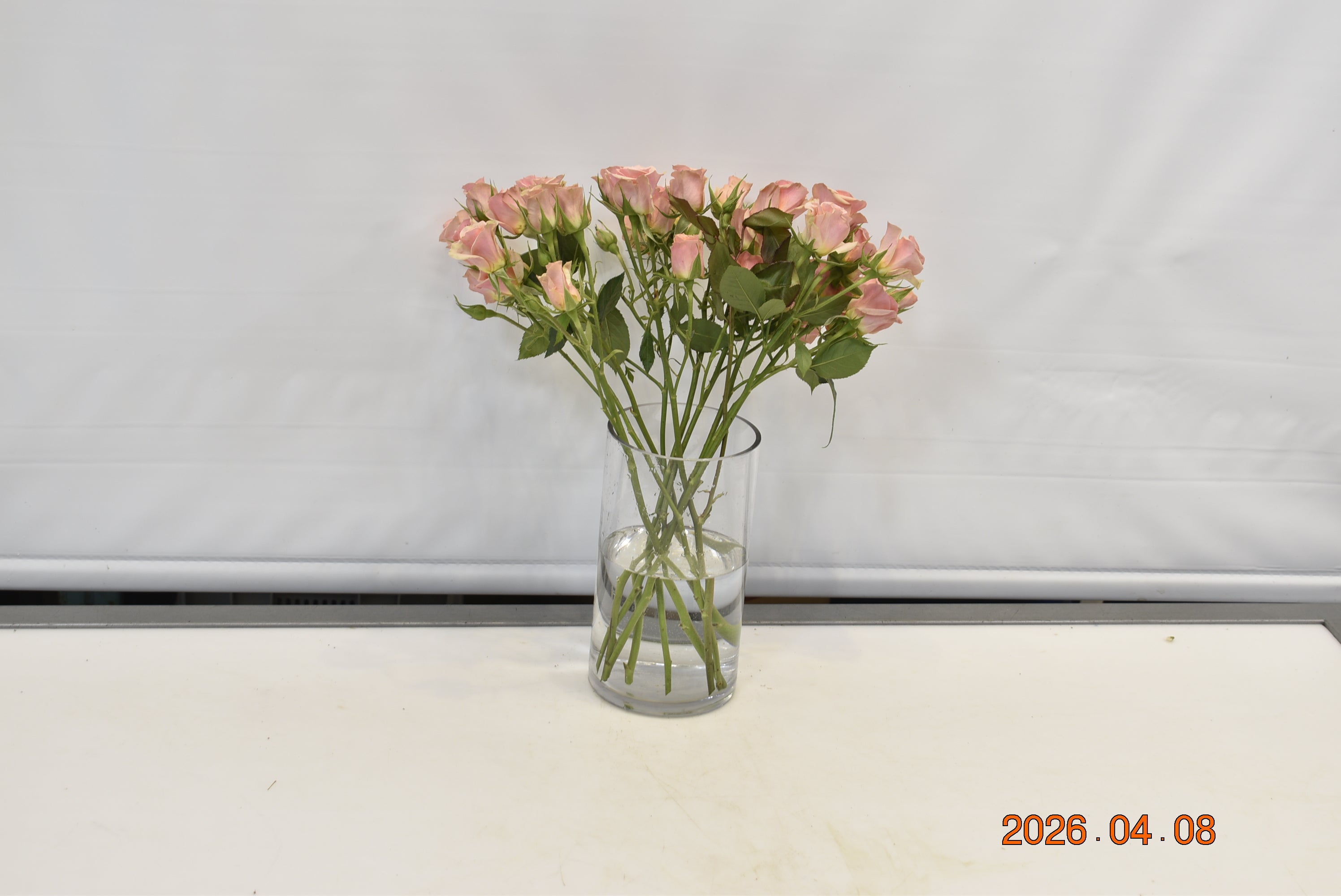 Rose Spray Peach Small