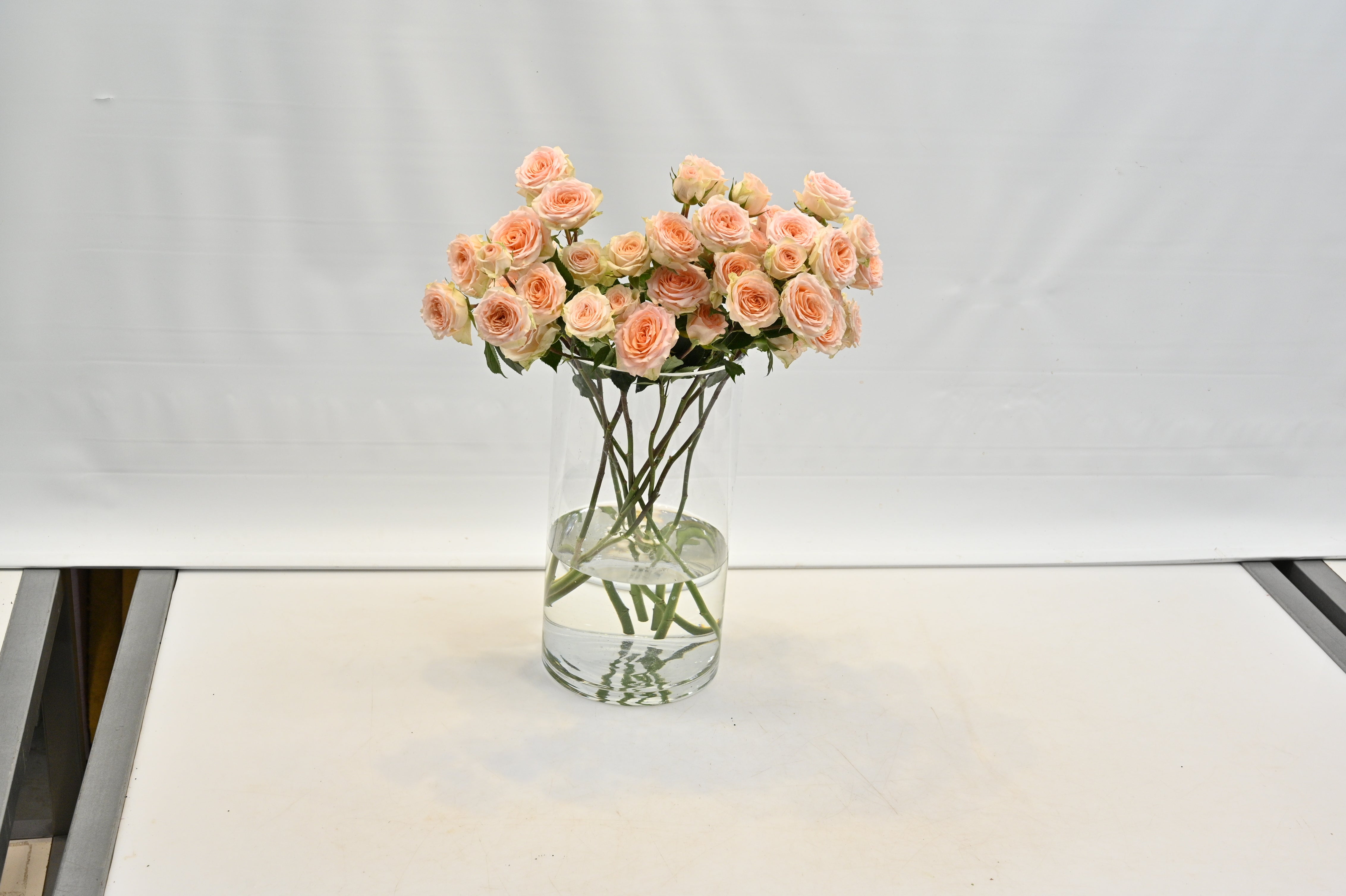 Rosa Spray Rosanella Small