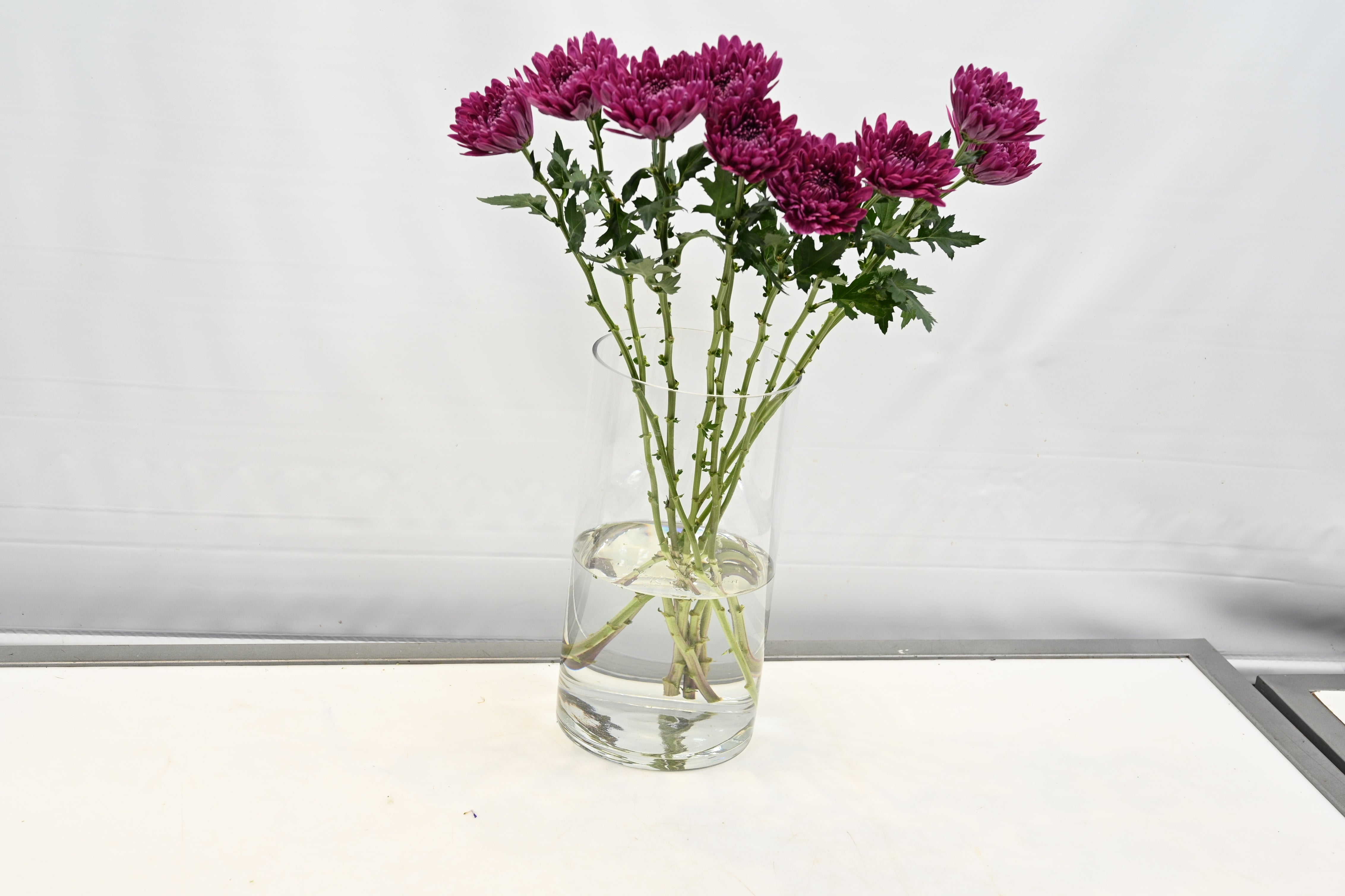 CREMONE PURPLE ANDREA Small