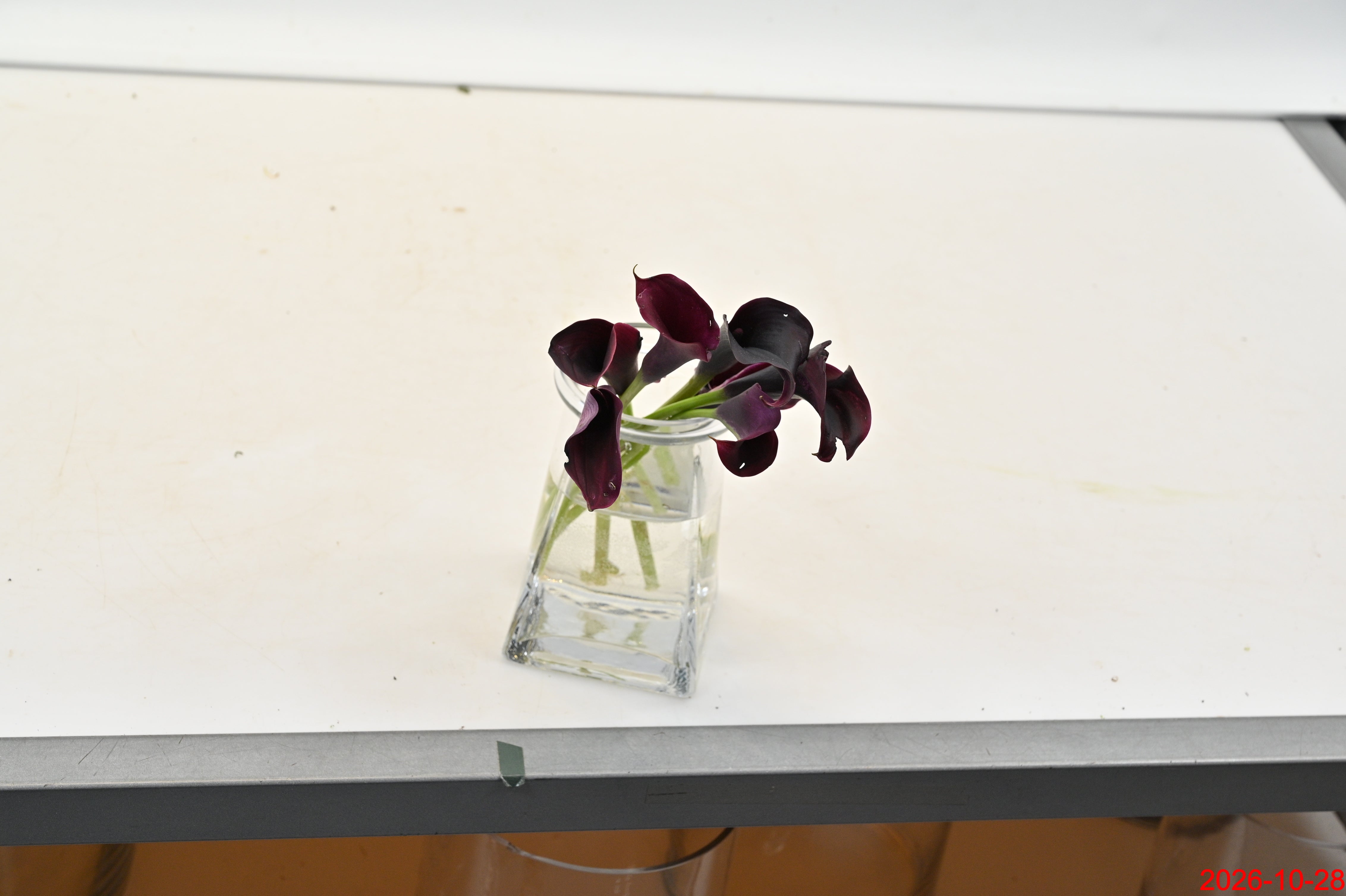 Calla Mini Burgundy Small