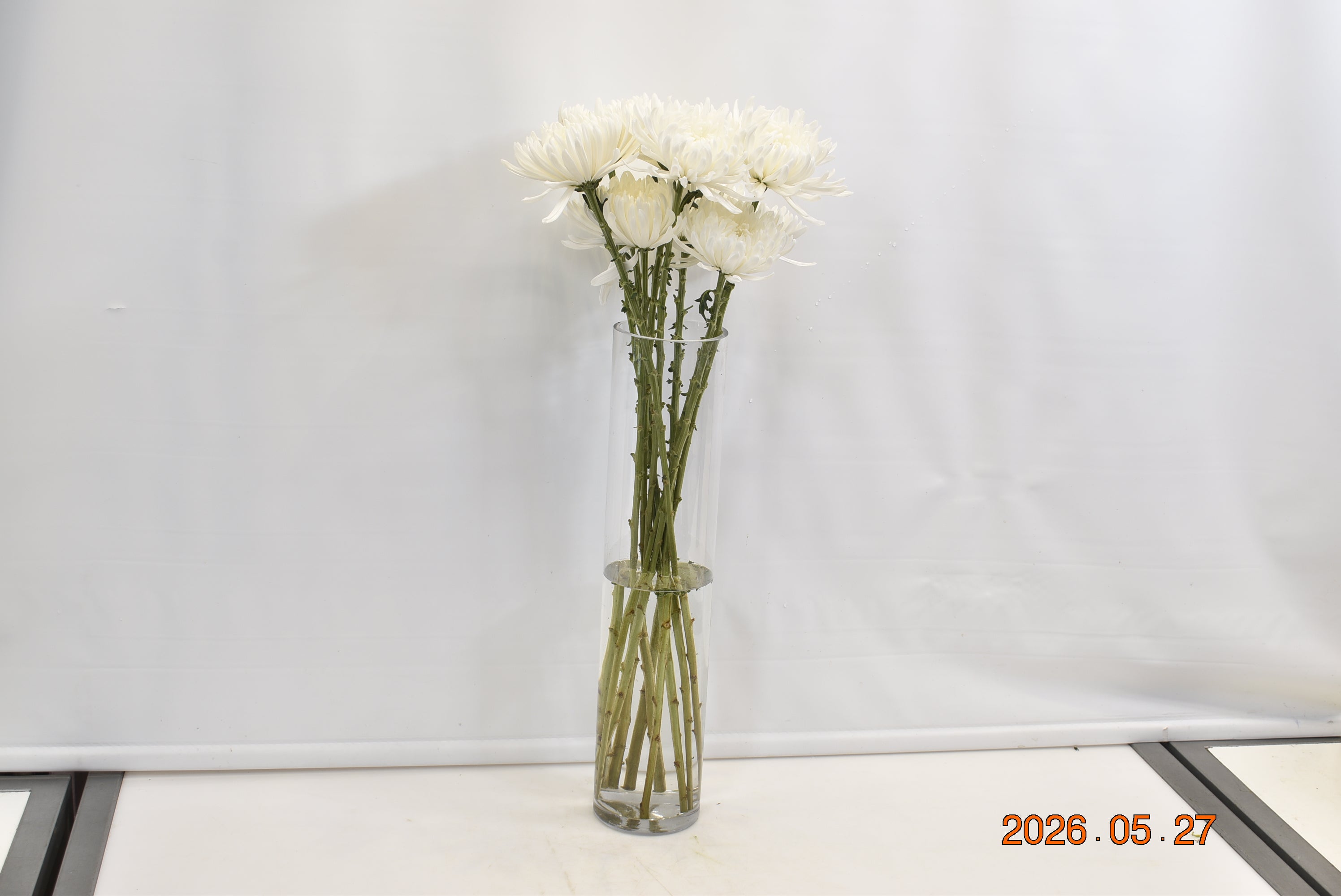 CREMONE GAGARIN Small