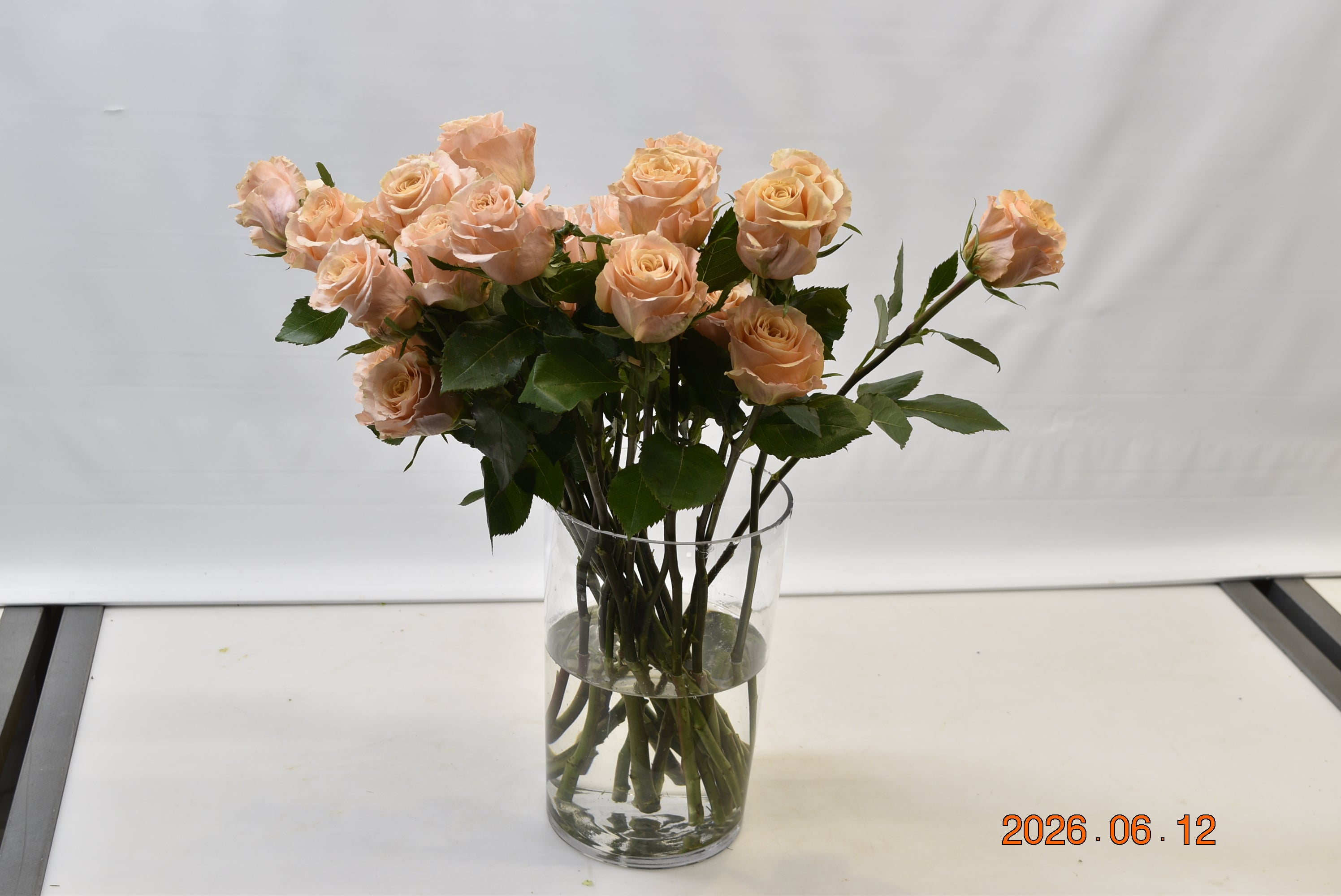 Rose Garden Princess Crown Small