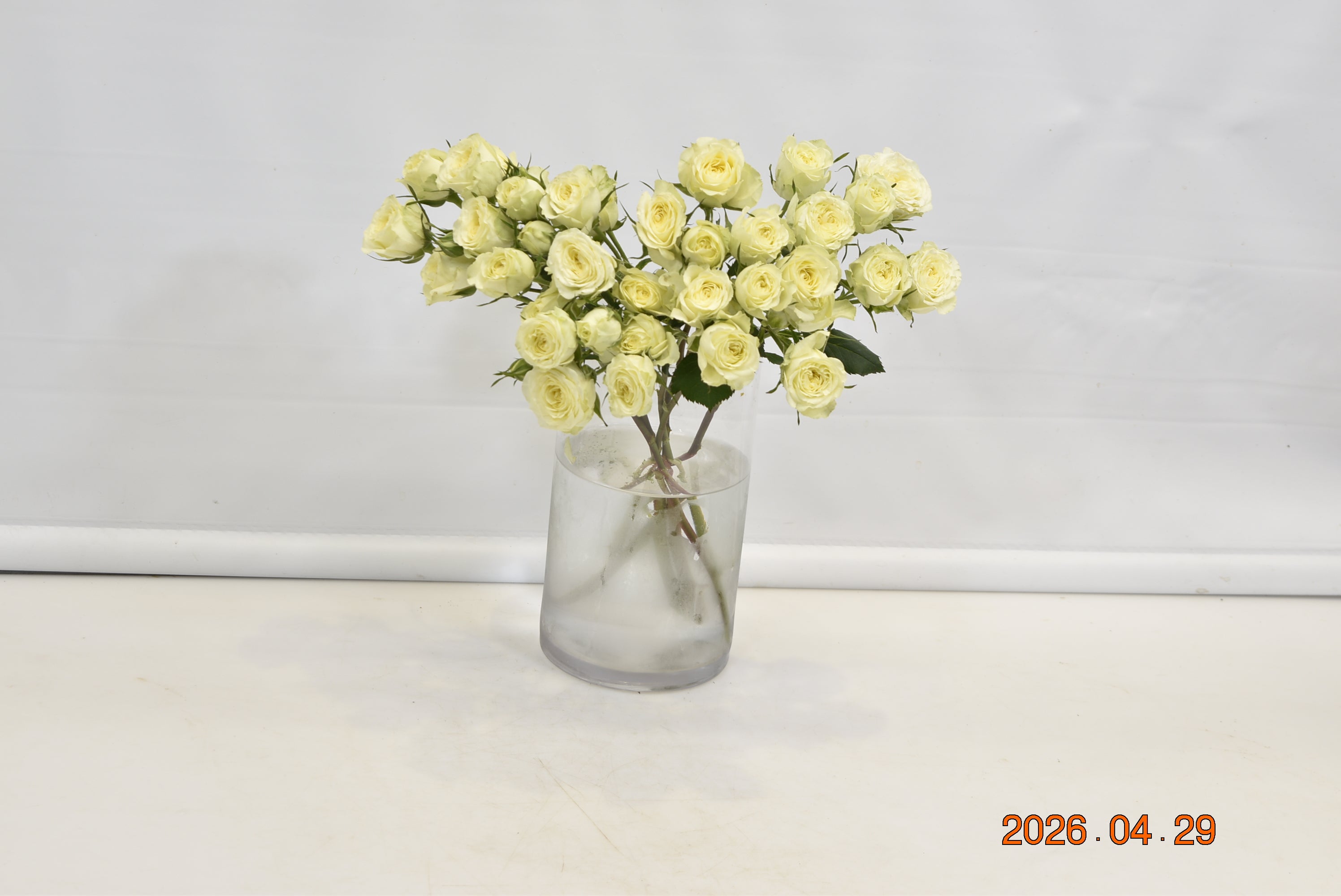 Rose Spray Flow Cream Small