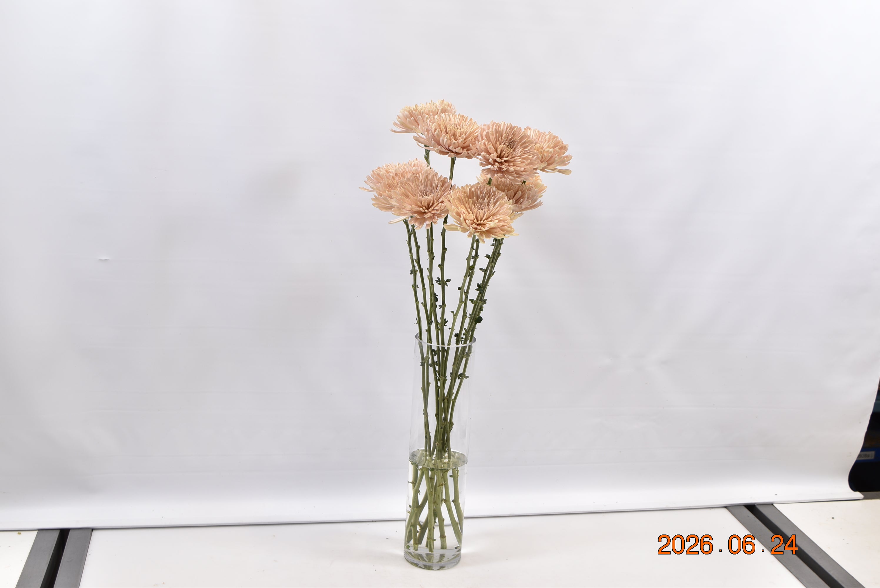 Cremone Linette Small