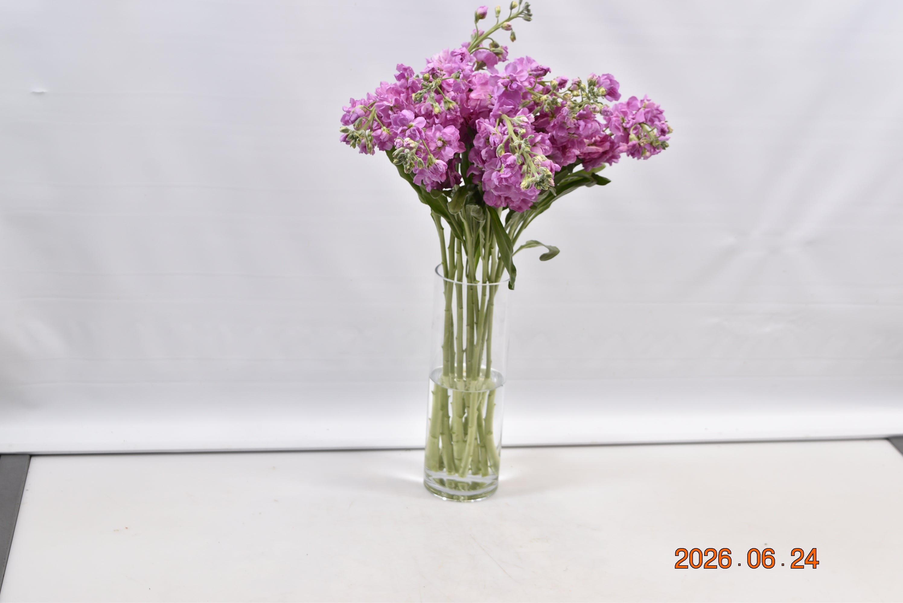STOCK PINK Small