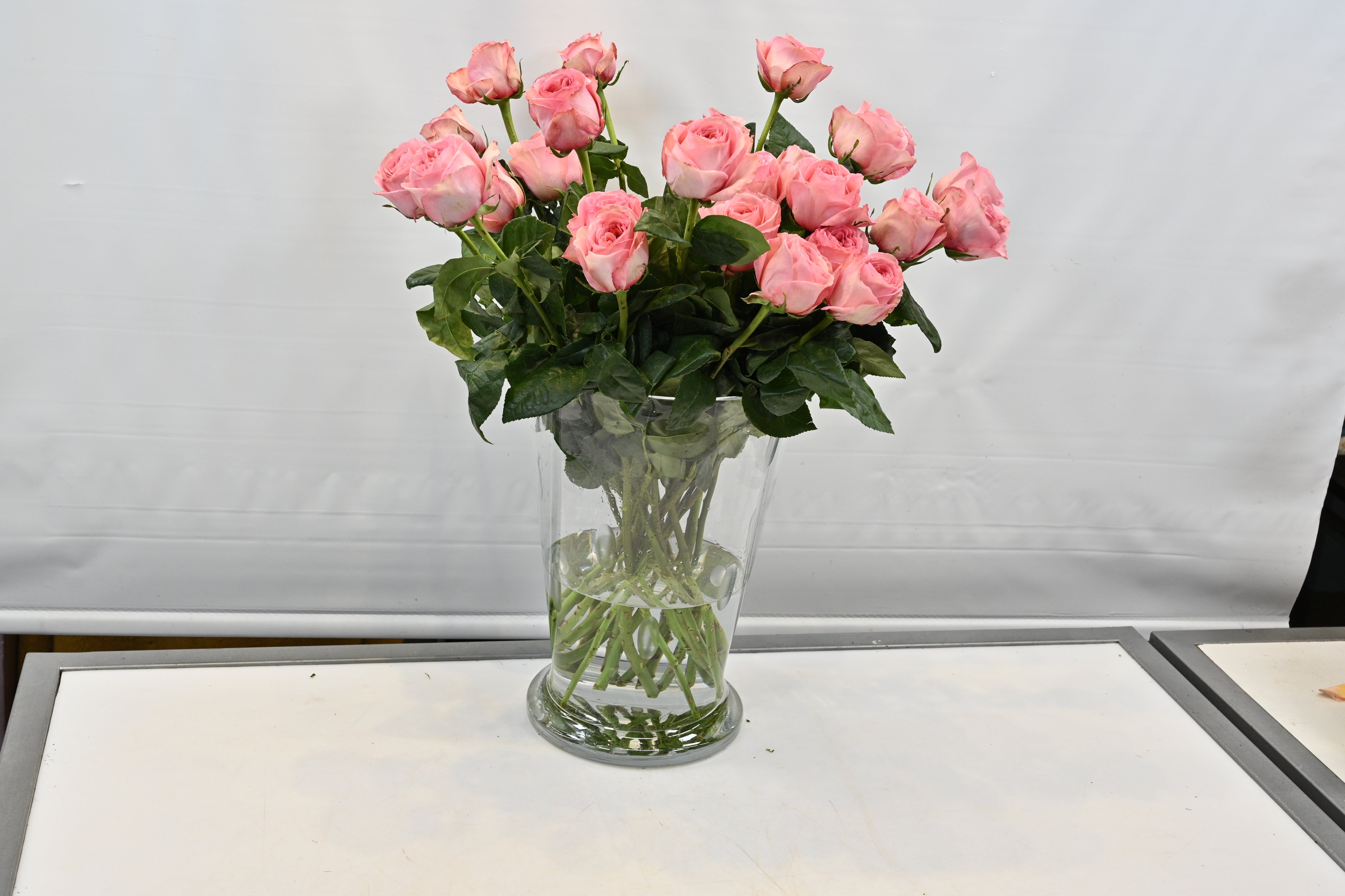 Pink Xpression Small