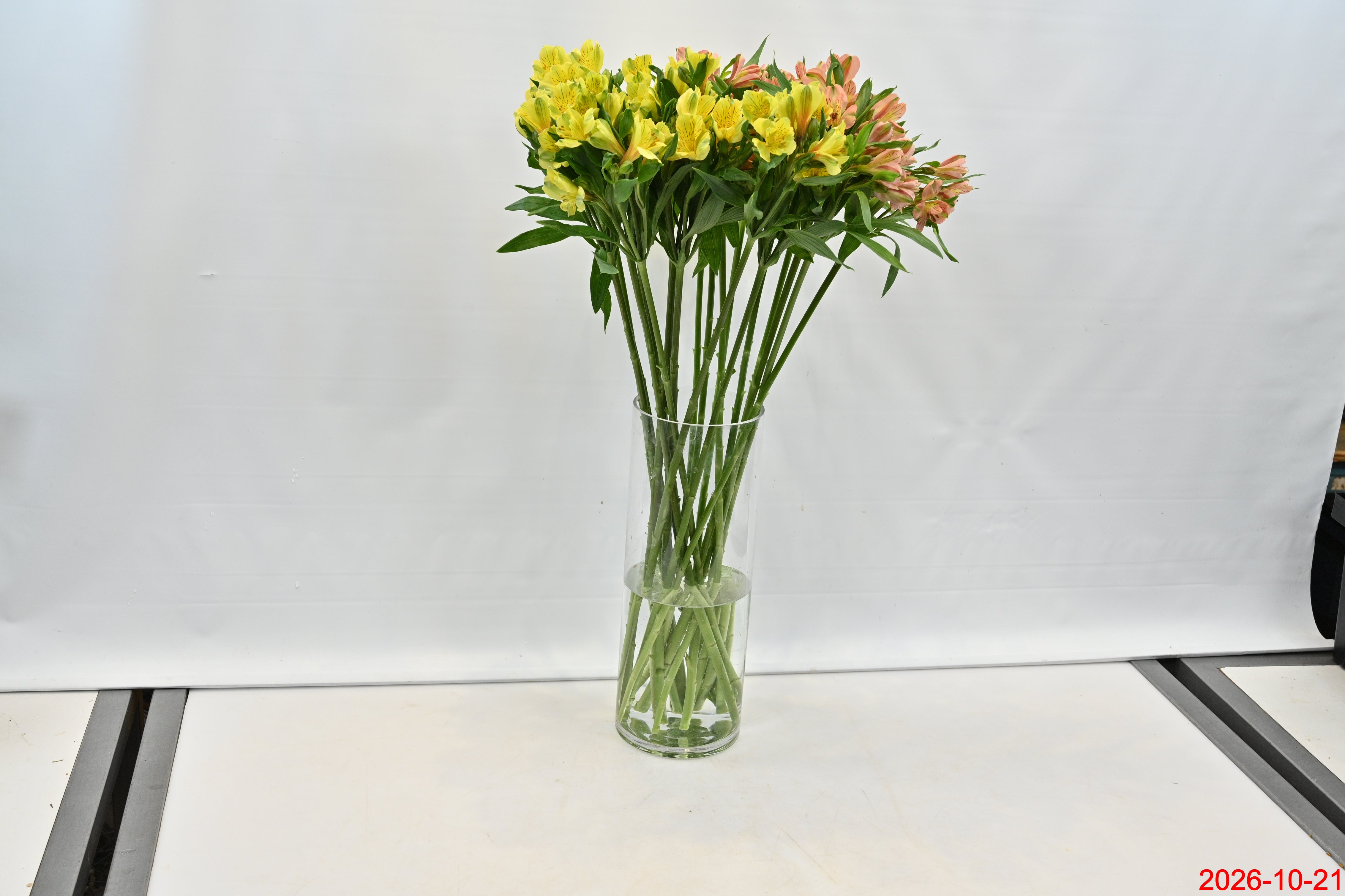 ALSTROEMERIA ASSORTED Small