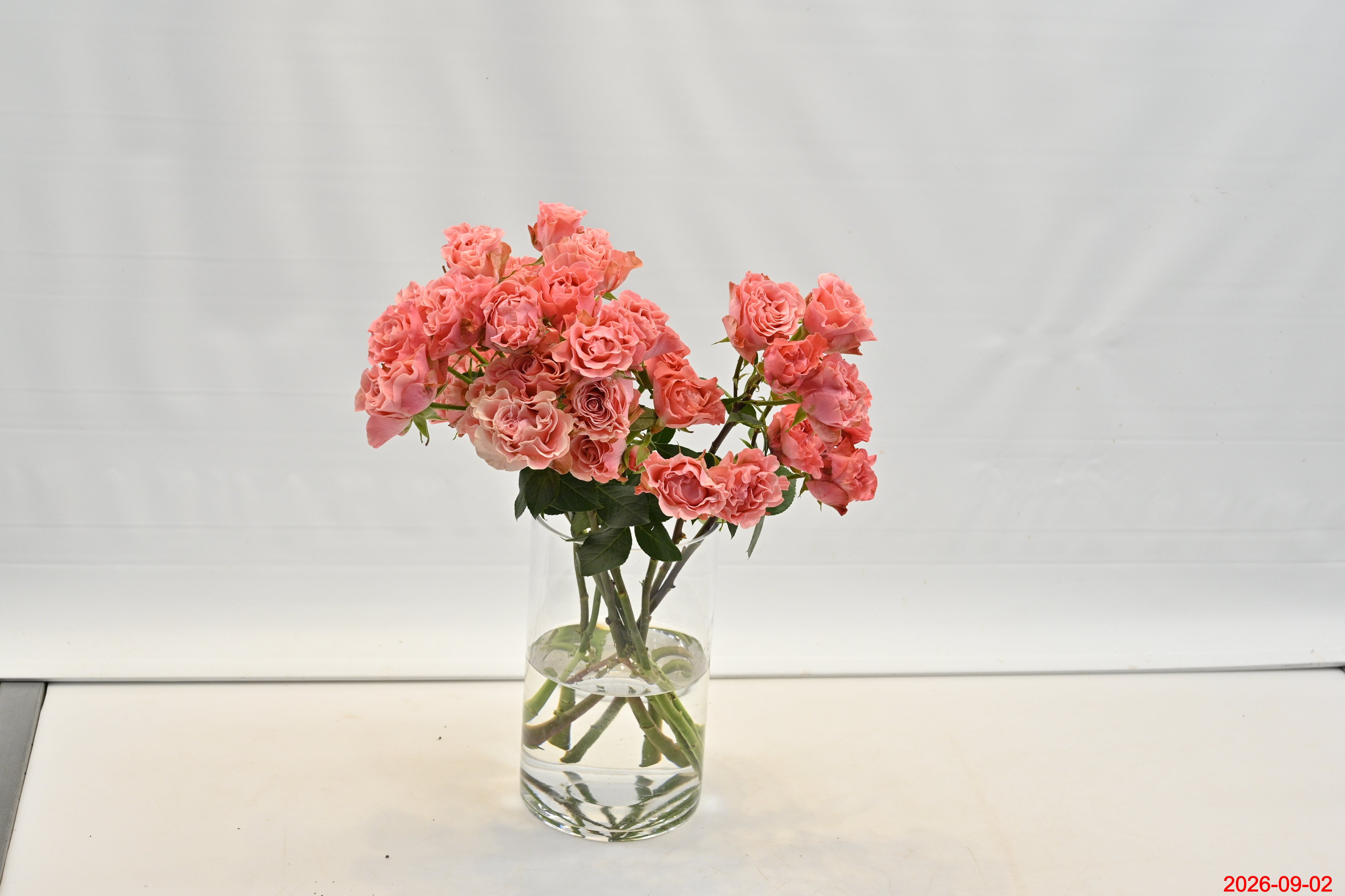 Rose Spray Valentina Small