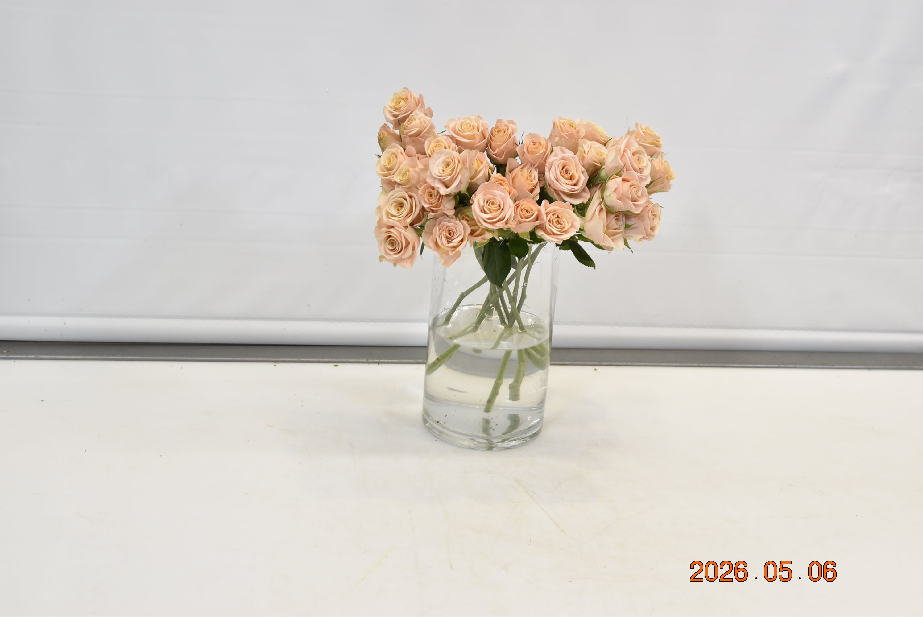 Rose Spray Apricot Jewel Small