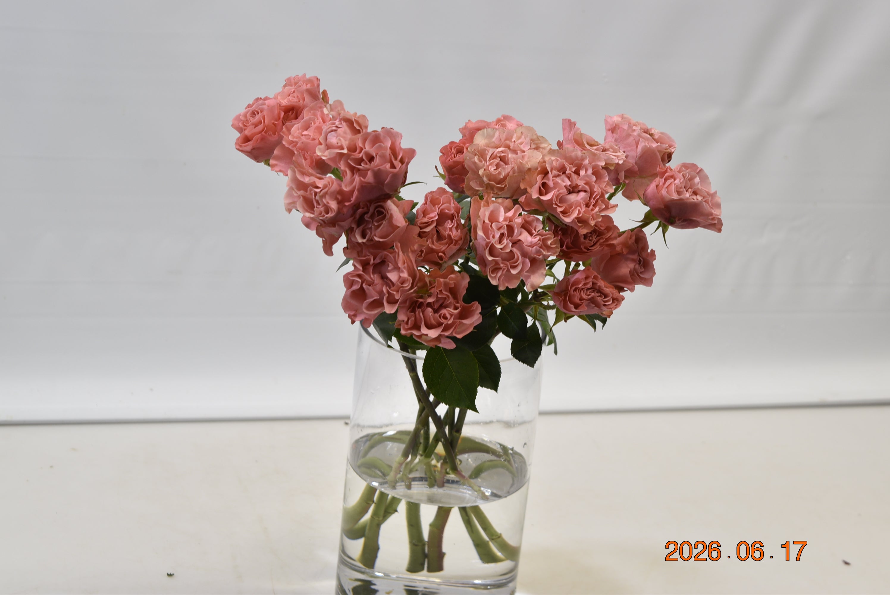 Rose Spray Valentina Small