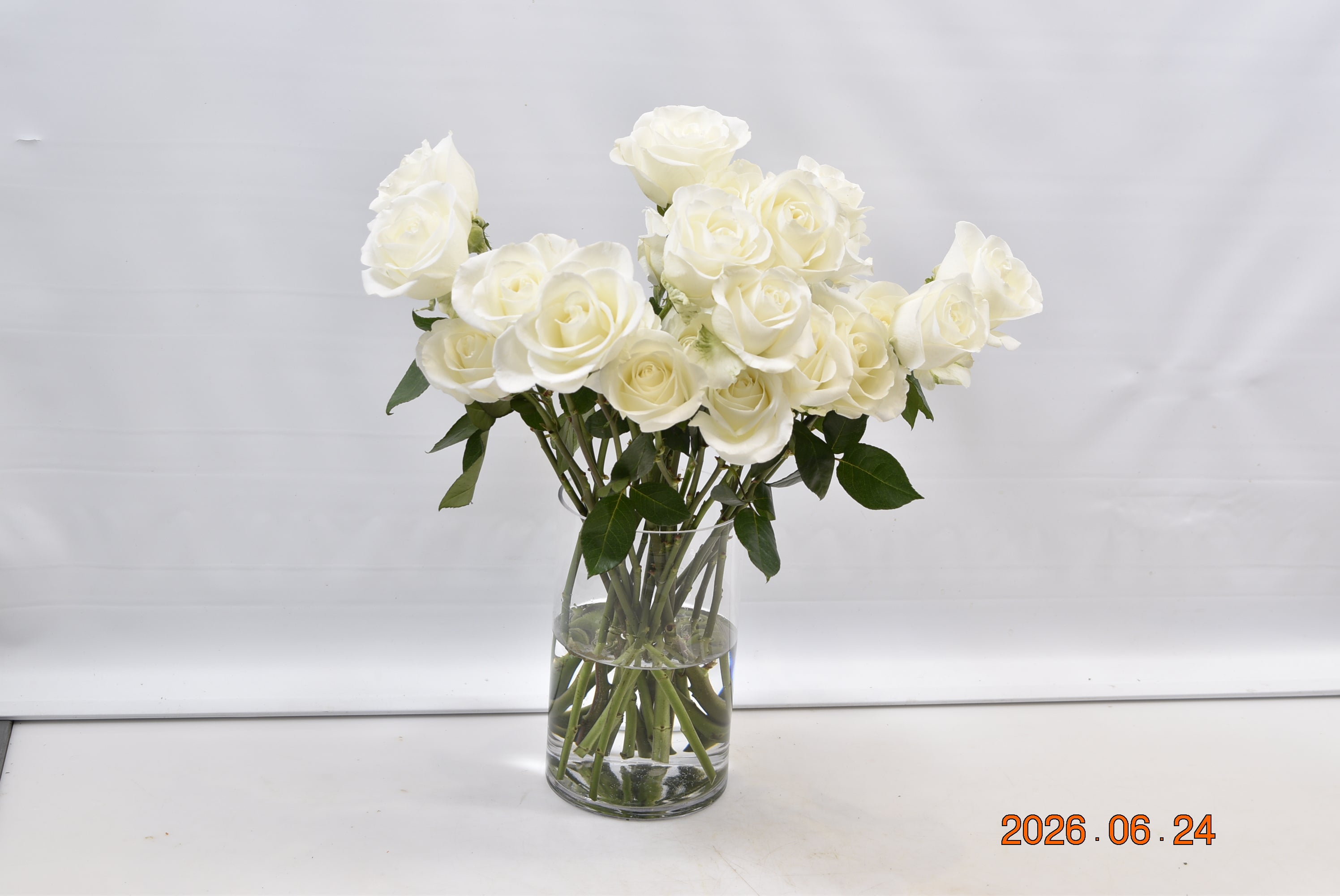 ROSE TIBET Small