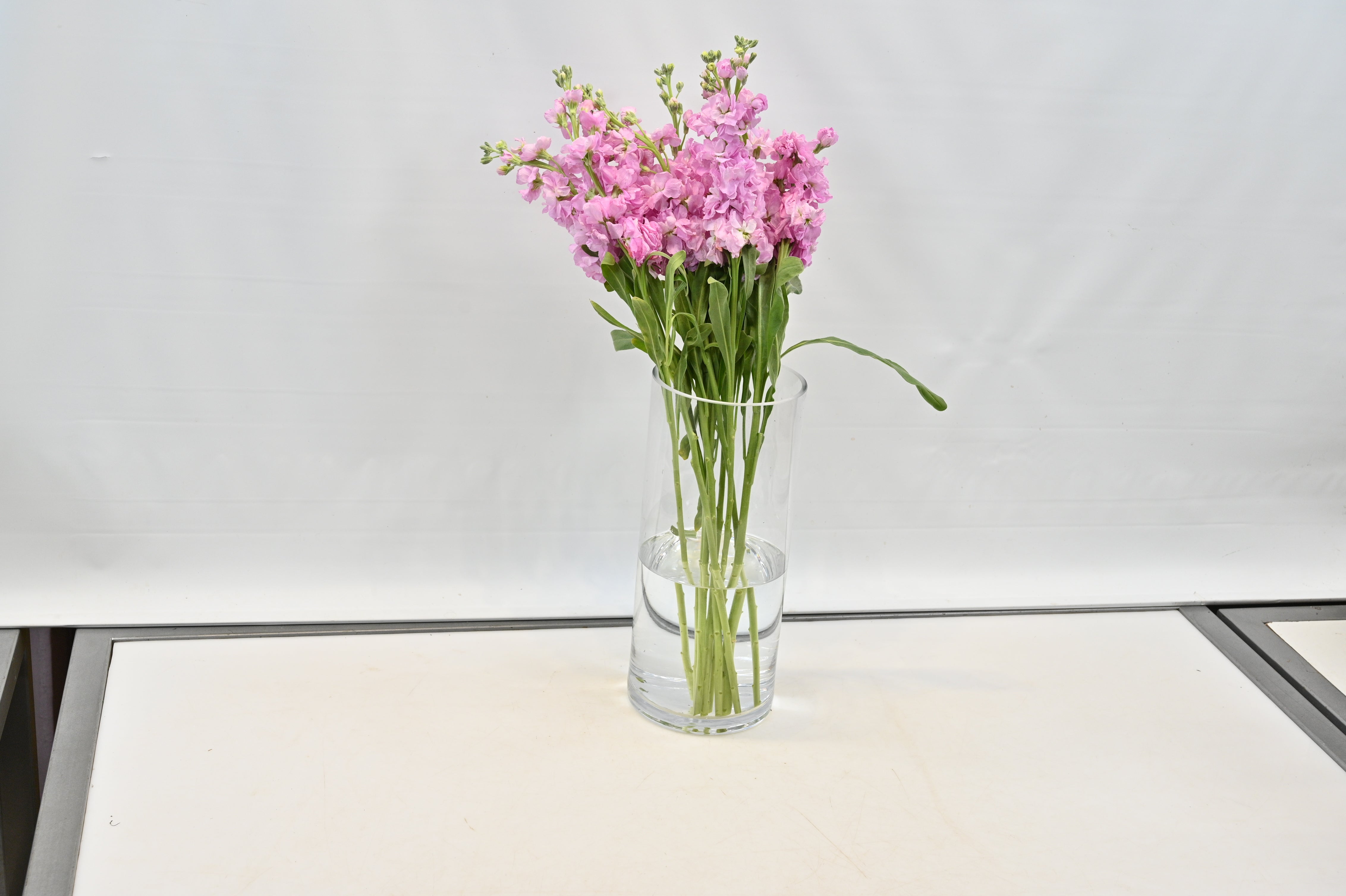 STOCK PINK Small